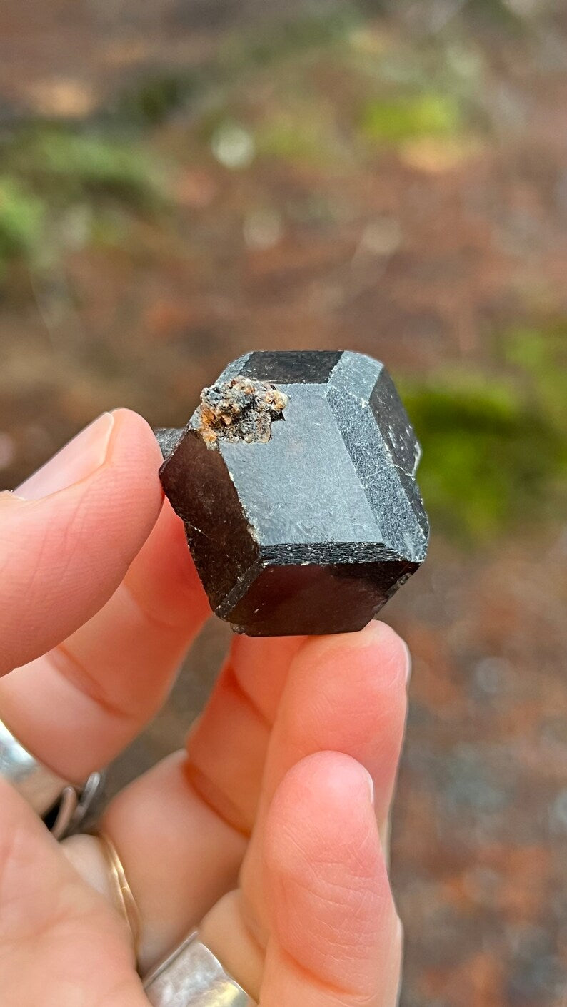 Andradite Garnet var. Melanite, Black Garnet, 39g Mali