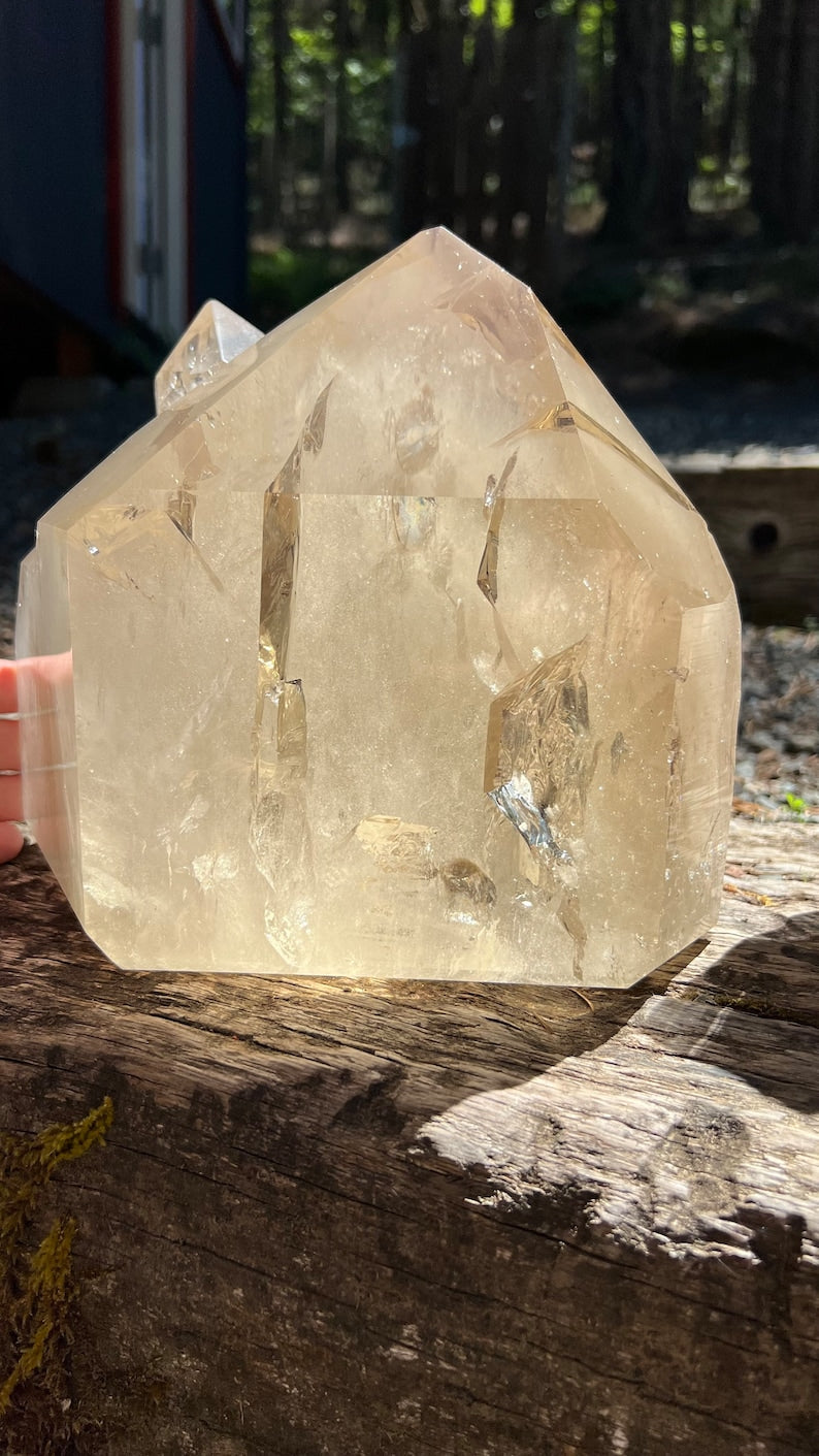 Large Elestial Citrine Decorator Crystal