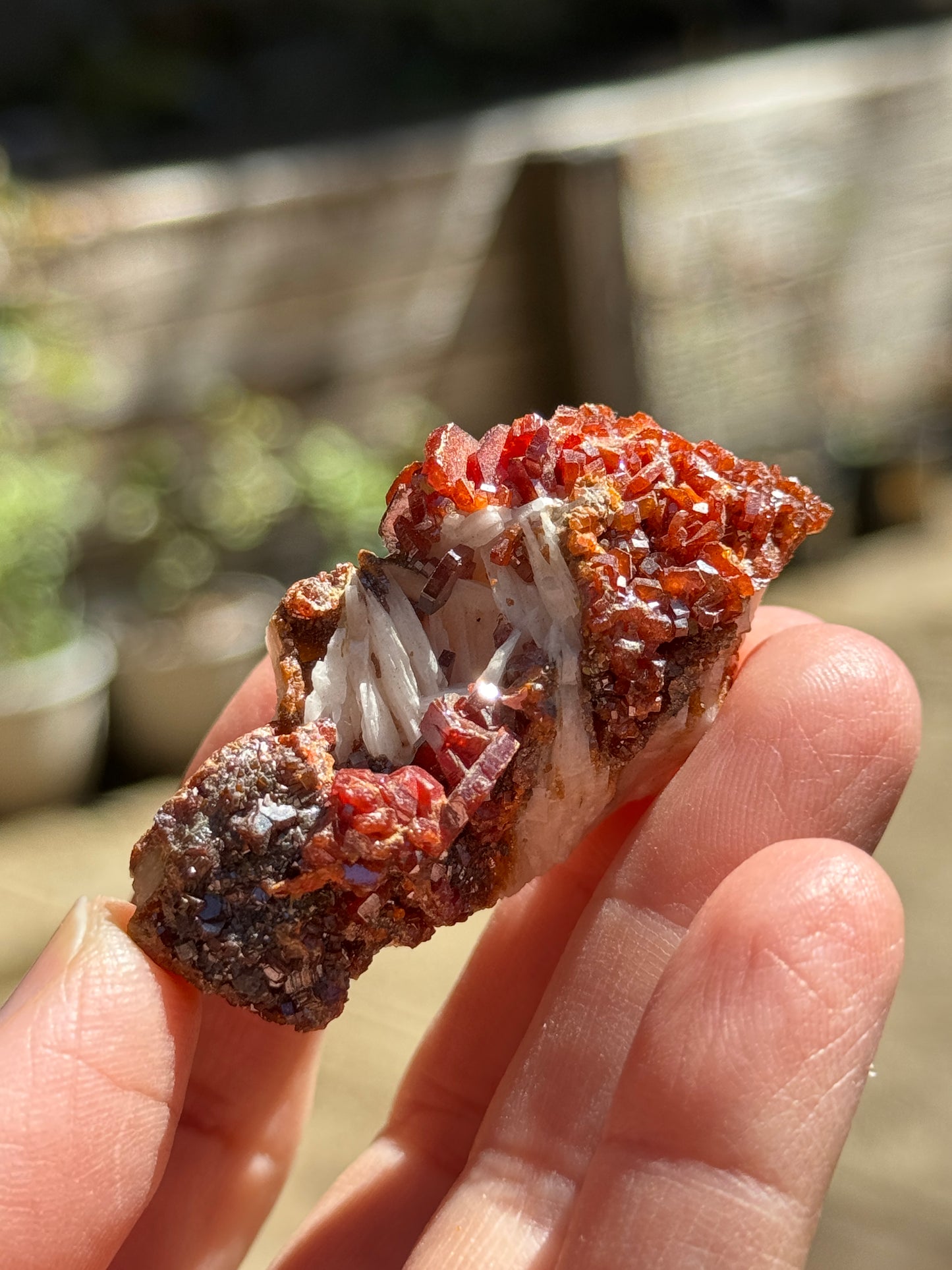Vanadinite Crystal with Barite, 51g Morocco