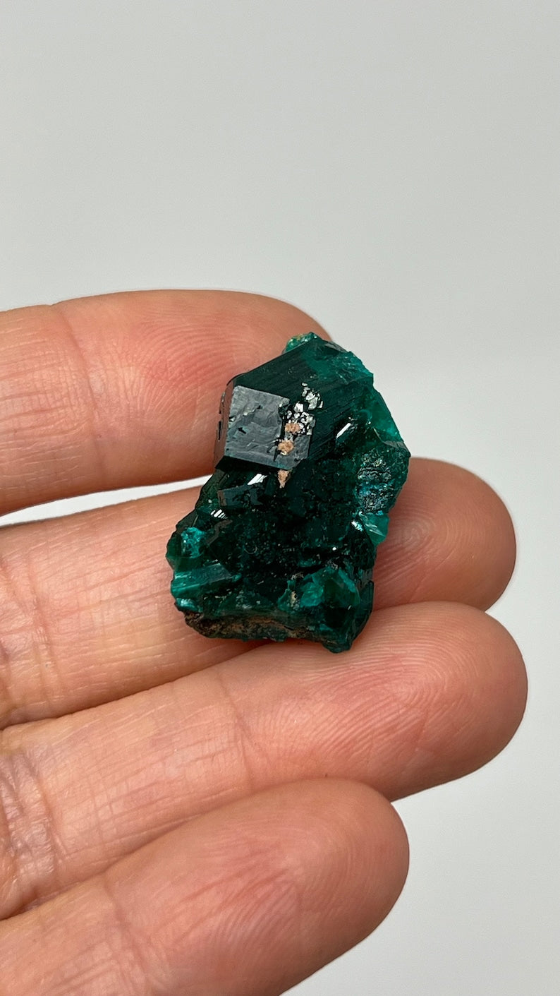 Prismatic Dioptase, Emerald Green Crystal, Pool Dept. Congo