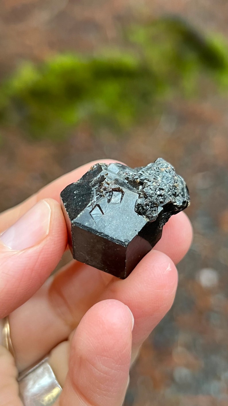 Andradite Garnet var. Melanite, Black Garnet, 22g Mali