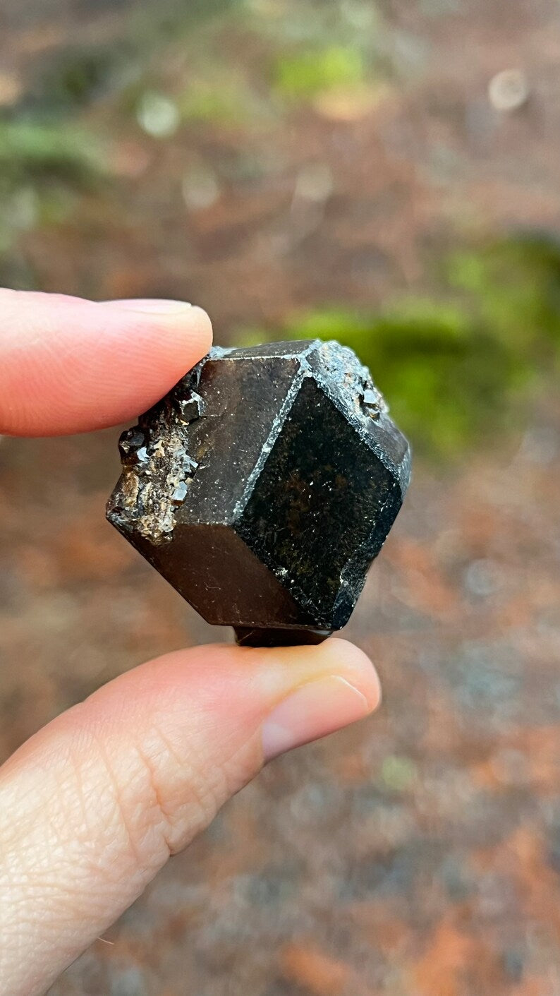 Andradite Garnet var. Melanite, Black Garnet, 49g Mali