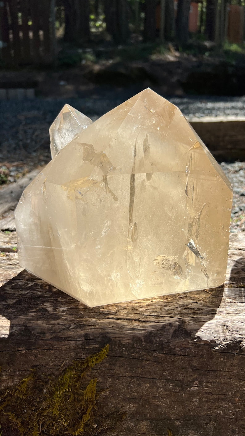 Large Elestial Citrine Decorator Crystal