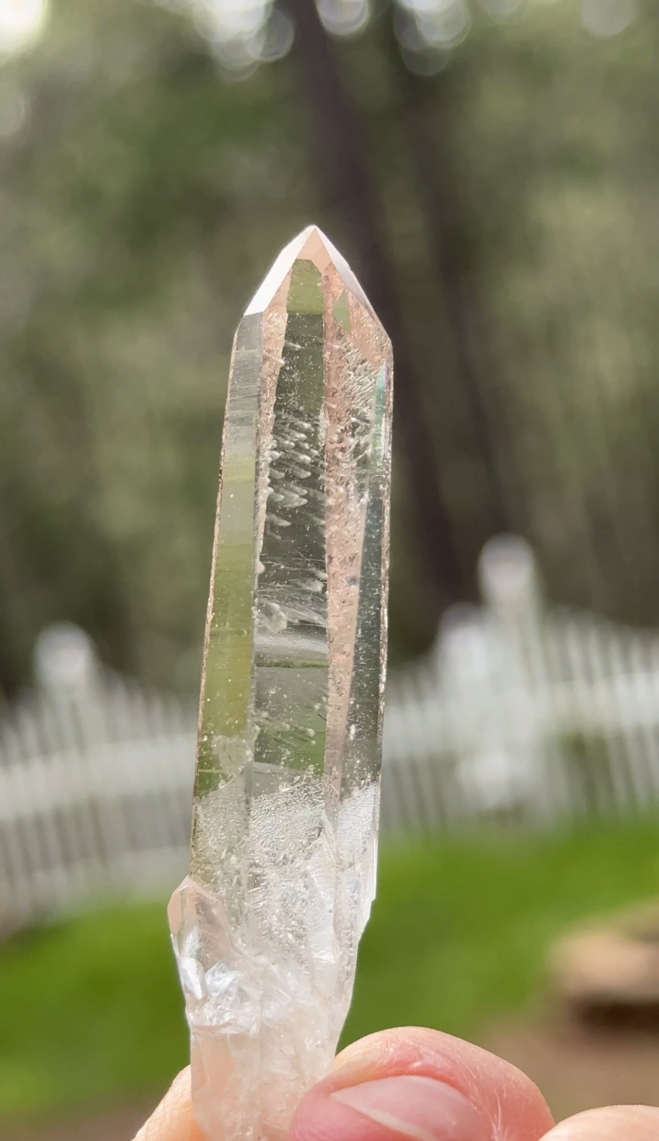 Diamond Window Recordkeeper Lemurian, 12g, Arkansas USA