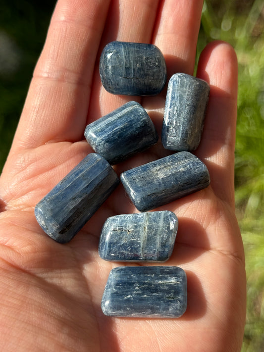ONE Blue Gem Kyanite, Polished Gemstone, Brazil