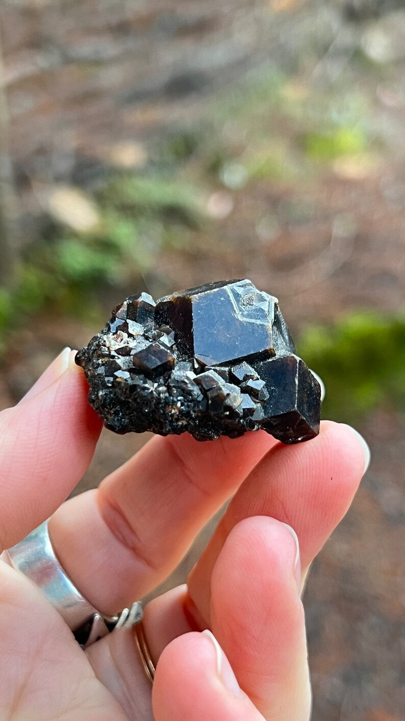 Andradite Garnet var. Melanite, Black Garnet, Mali