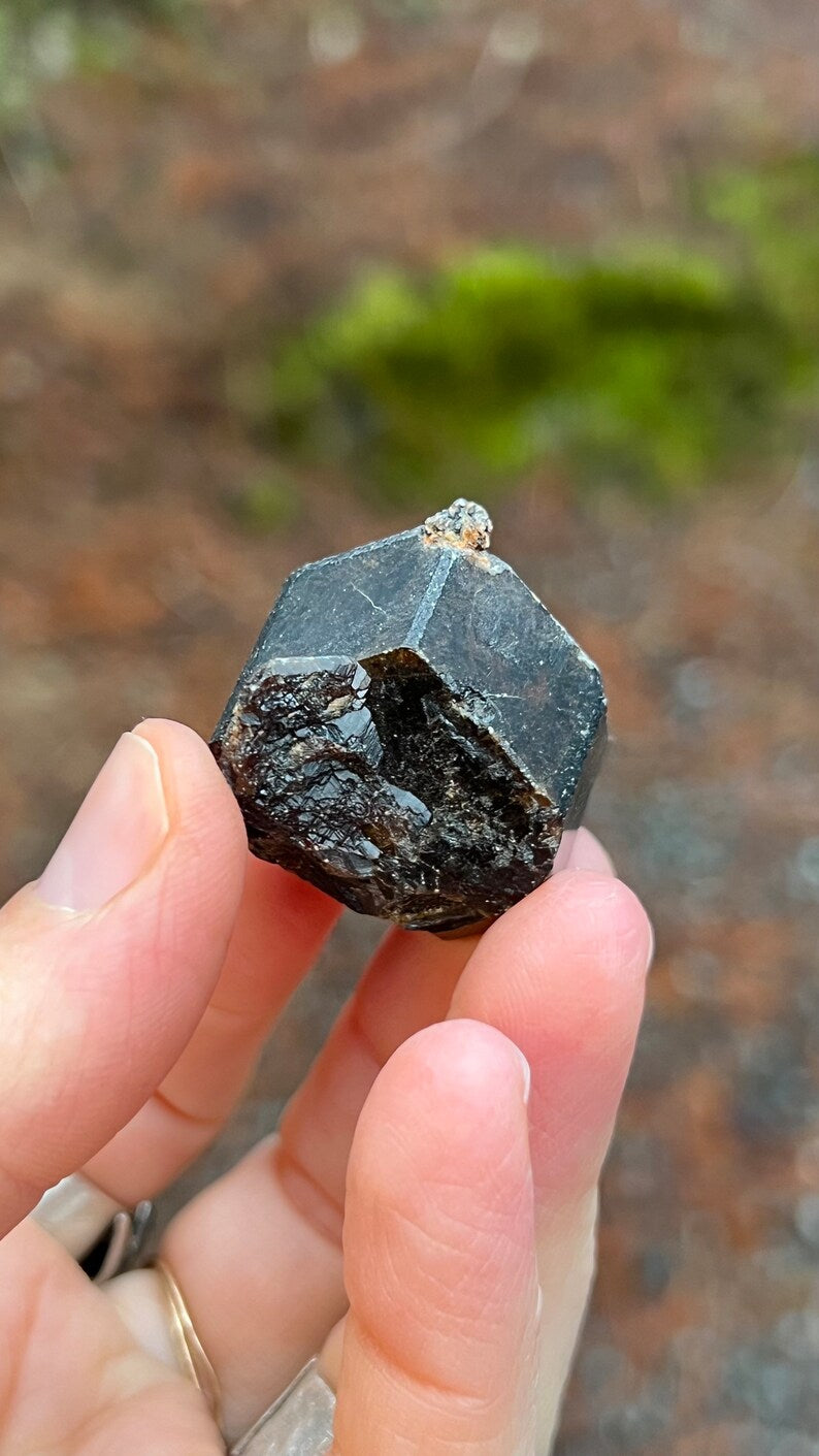 Andradite Garnet var. Melanite, Black Garnet, 39g Mali