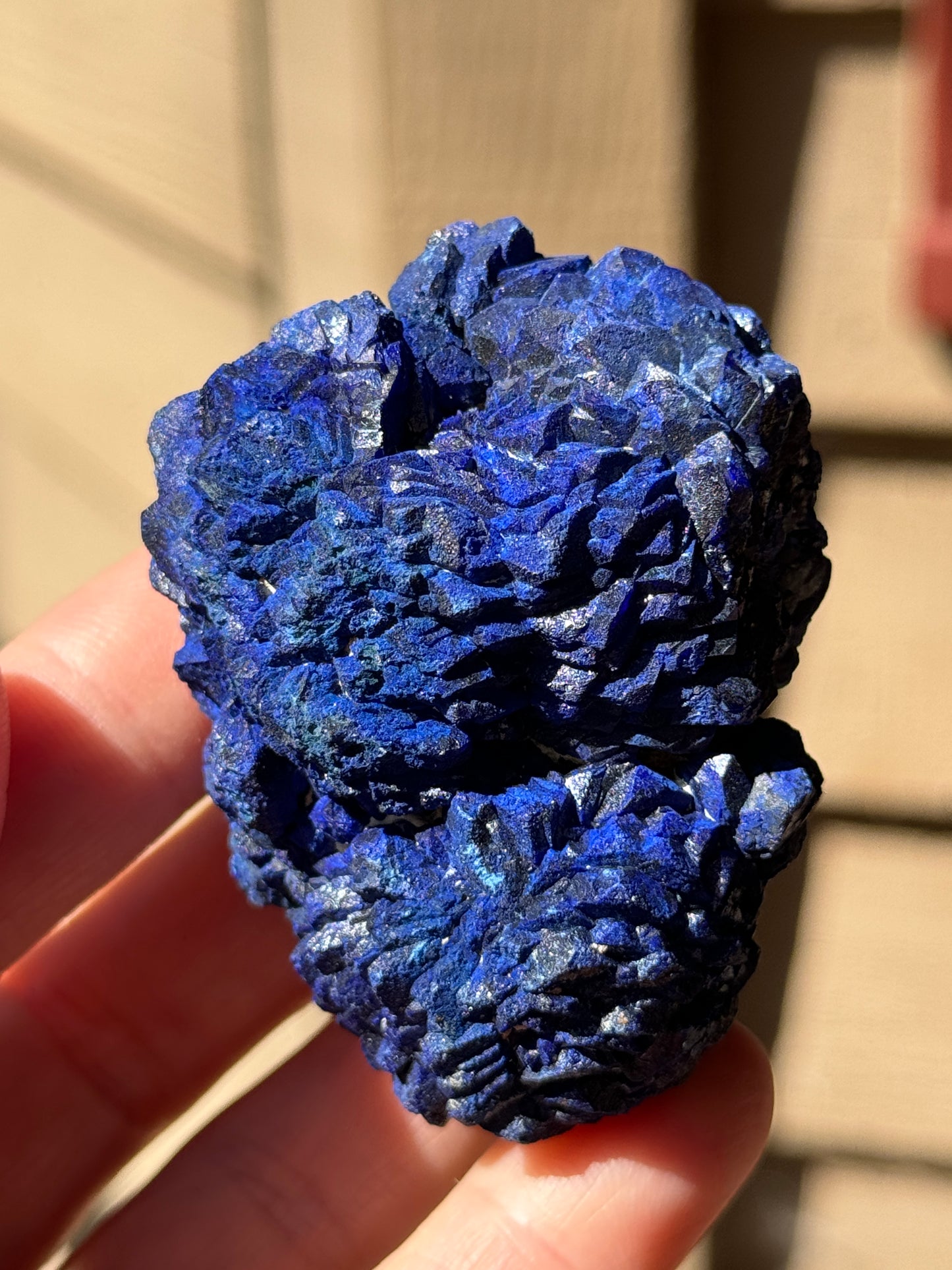 Azurite Rosette 153g, Morenci Mine, Arizona USA