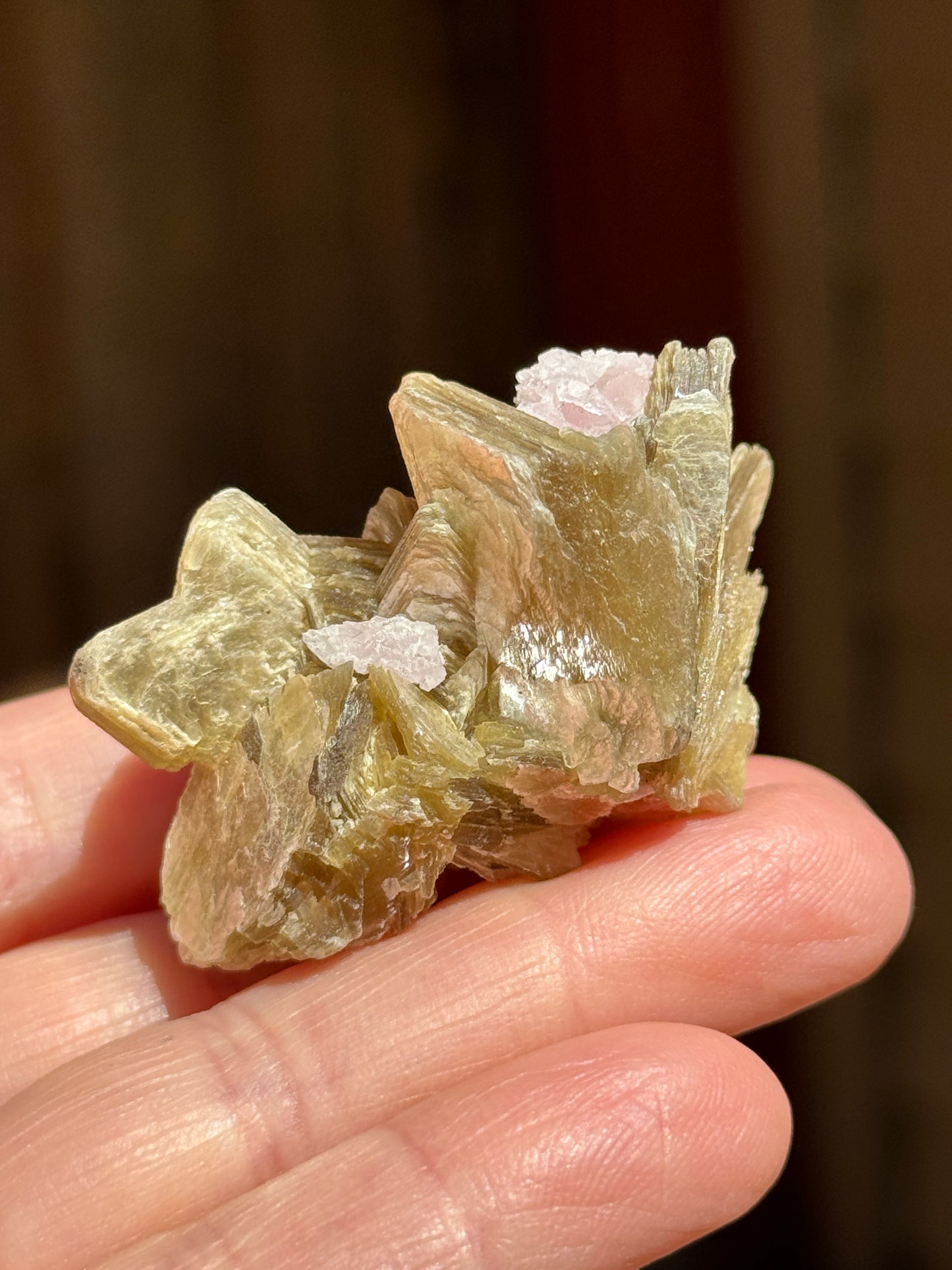 Star Mica with Crystalized Rose Quartz, 32g Brazil