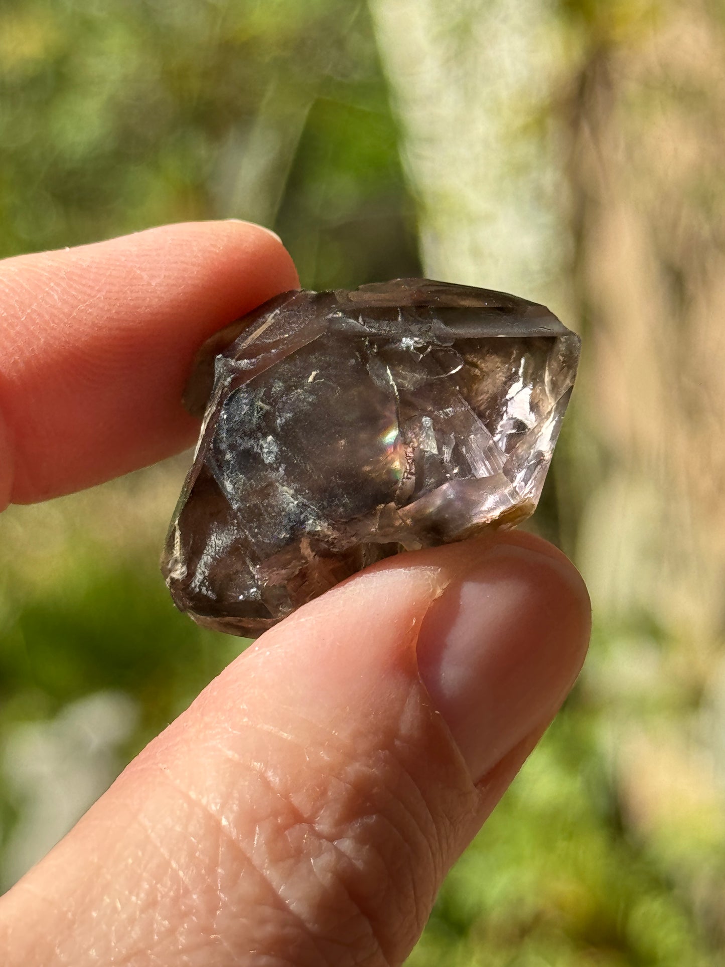 Smoky Elestial 'Herkimer' Quartz with Amethyst, 14g Brazil