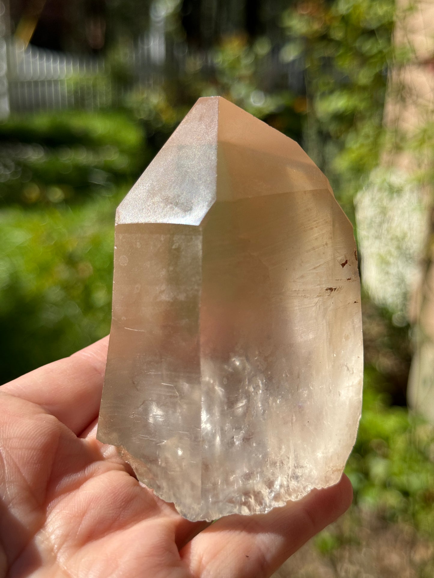 Bendy Golden Healer Lemurian Quartz, 286g Brazil