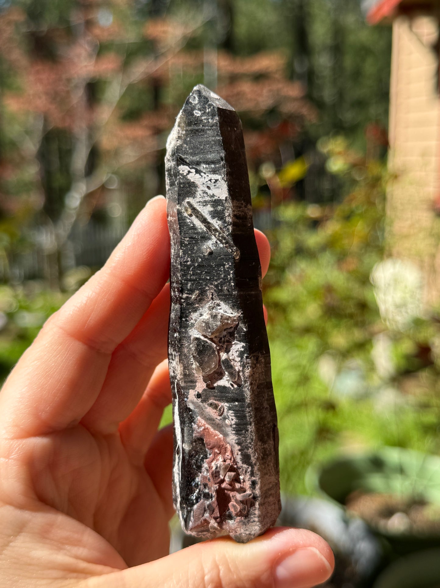 DT Morion Smoky Quartz Lemurian, 82g Mongolia