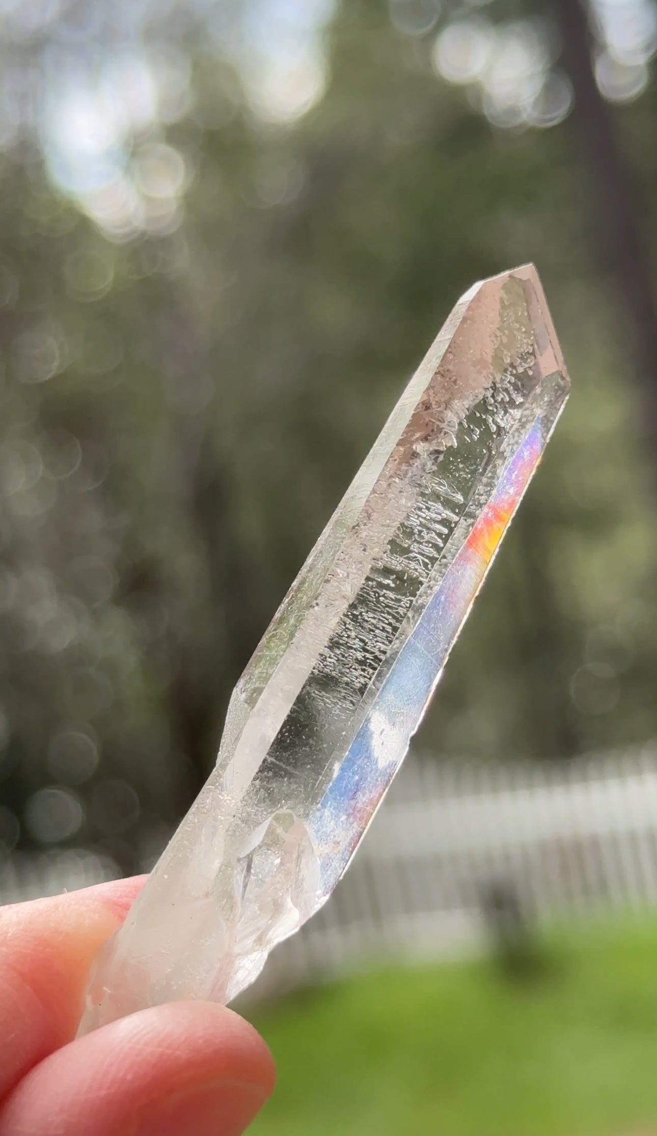 Diamond Window Recordkeeper Lemurian, 12g, Arkansas USA