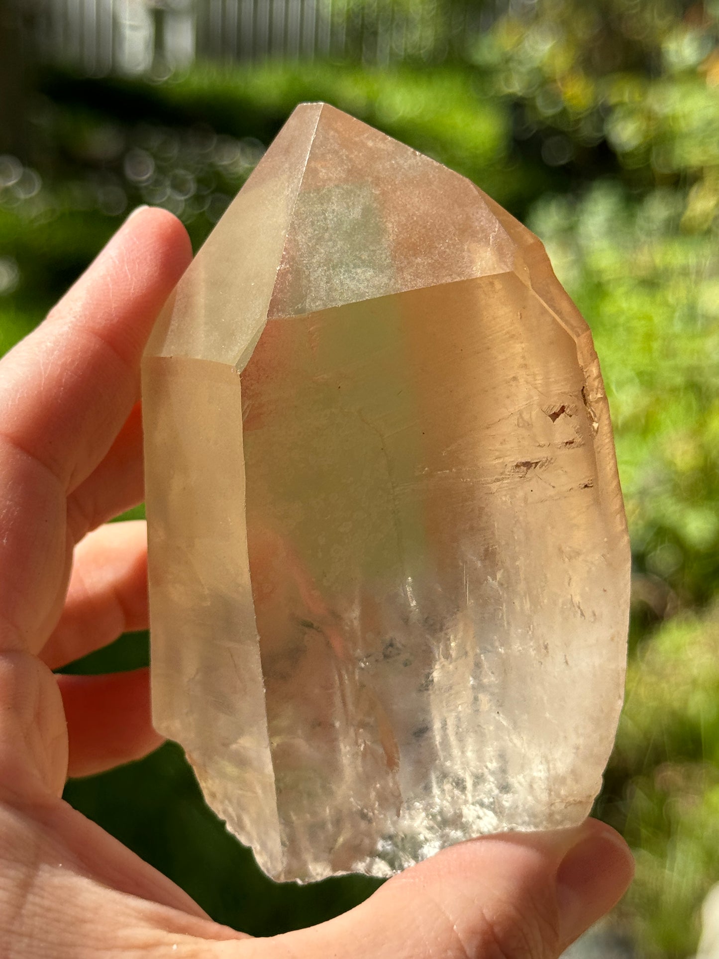 Bendy Golden Healer Lemurian Quartz, 286g Brazil