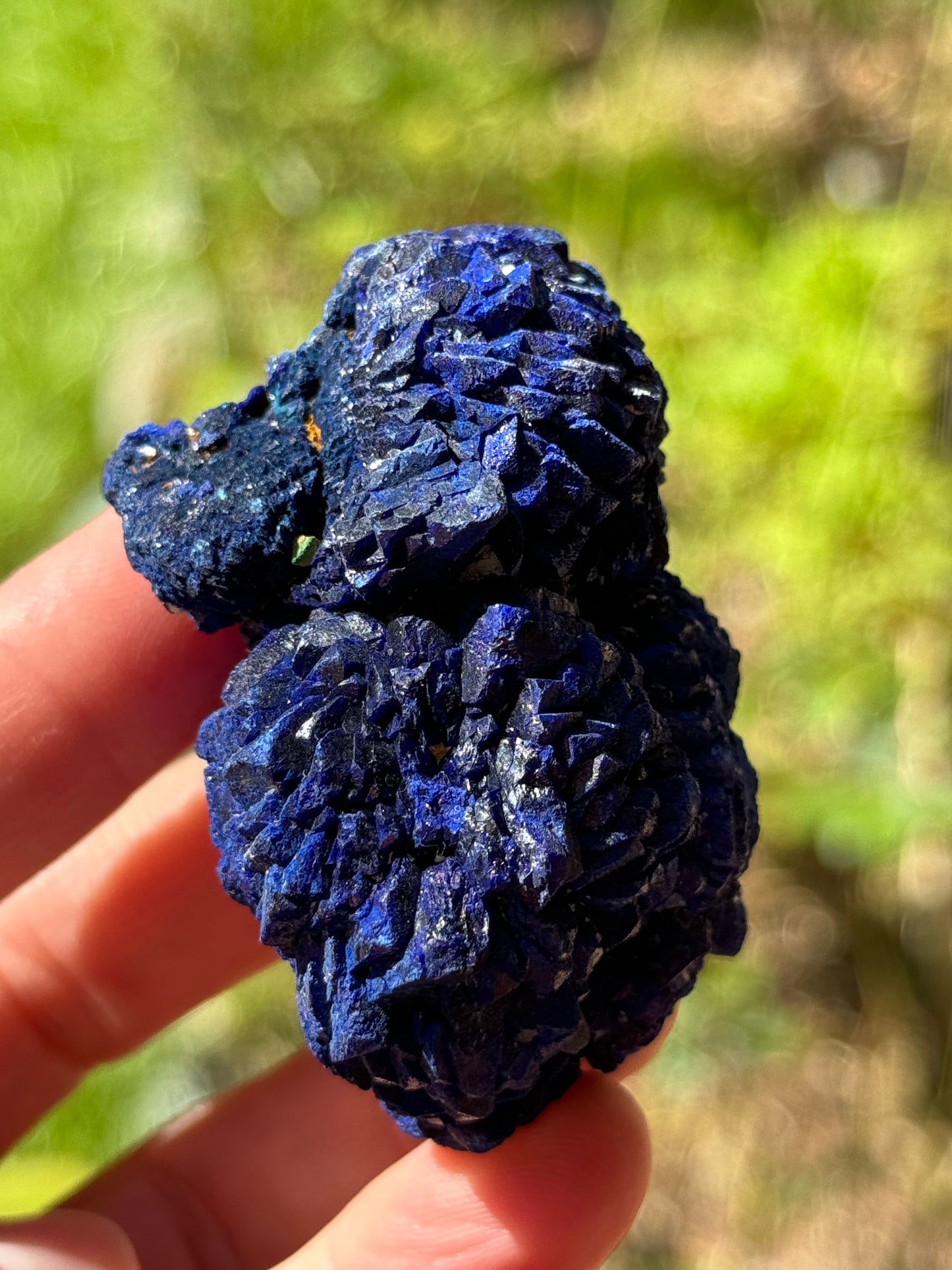 Azurite Rosette 153g, Morenci Mine, Arizona USA