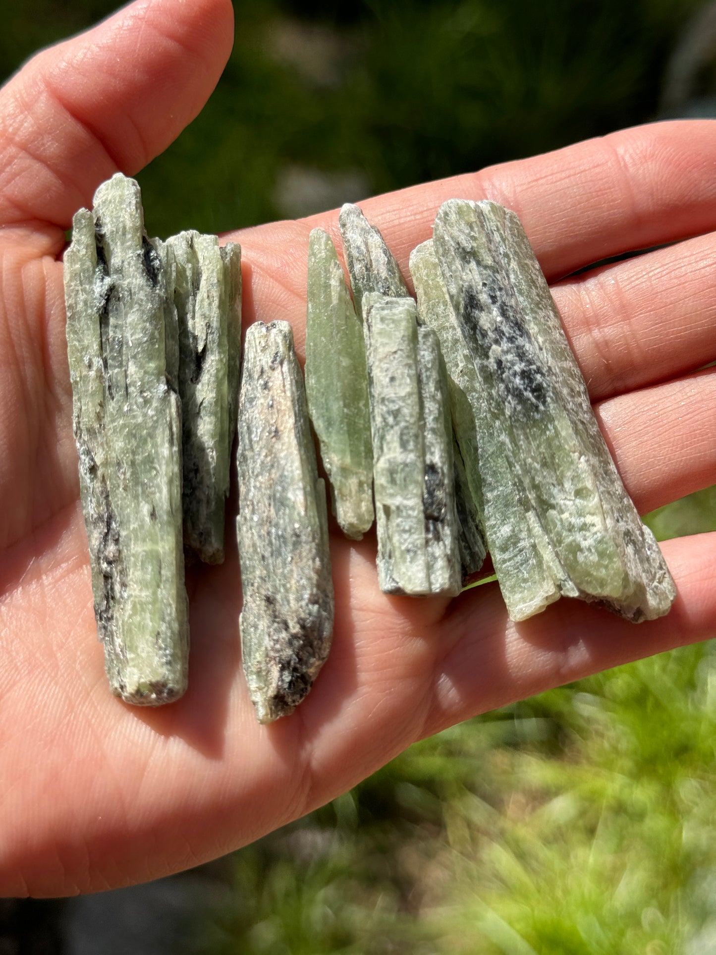 ONE Green Kyanite Blade, Raw Natural Mineral Specimen