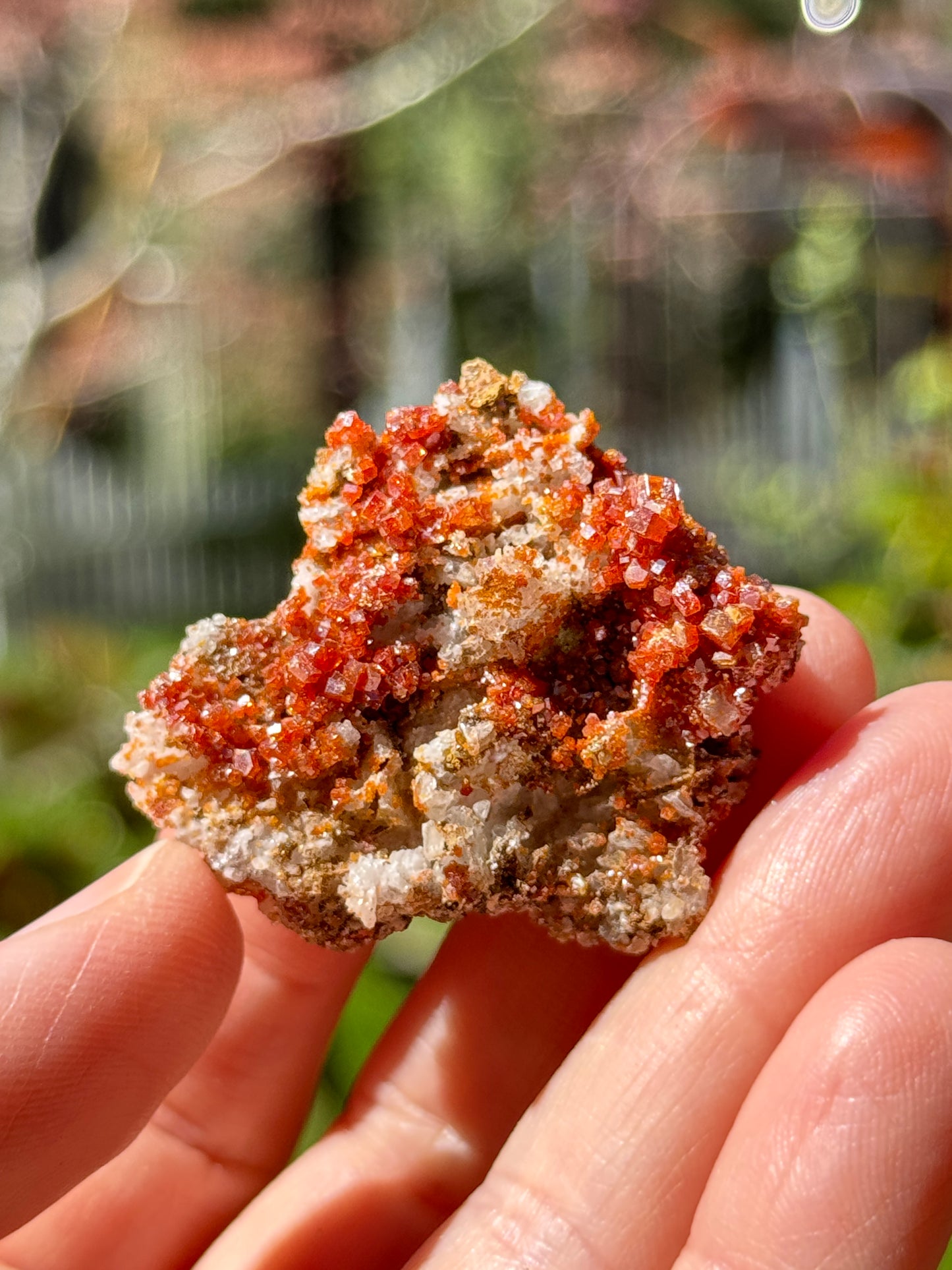 Vanadinite Crystal with Barite, 13g Morocco