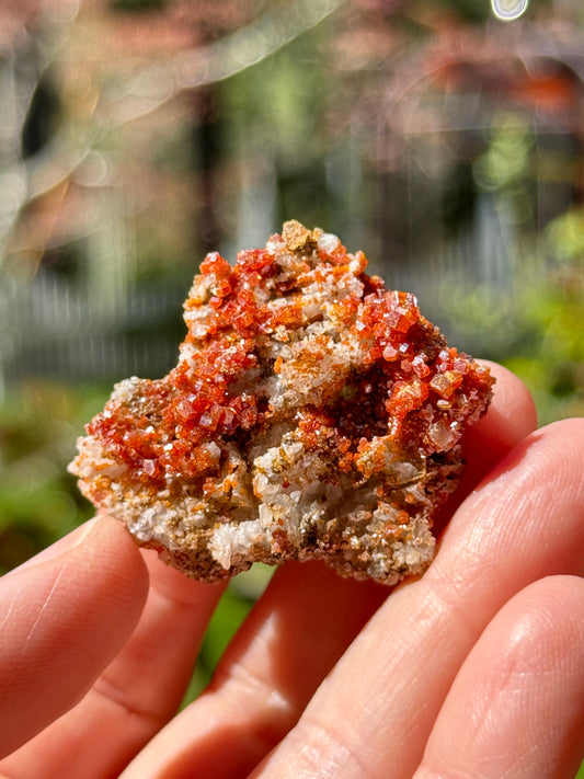 Vanadinite Crystal with Barite, 13g Morocco