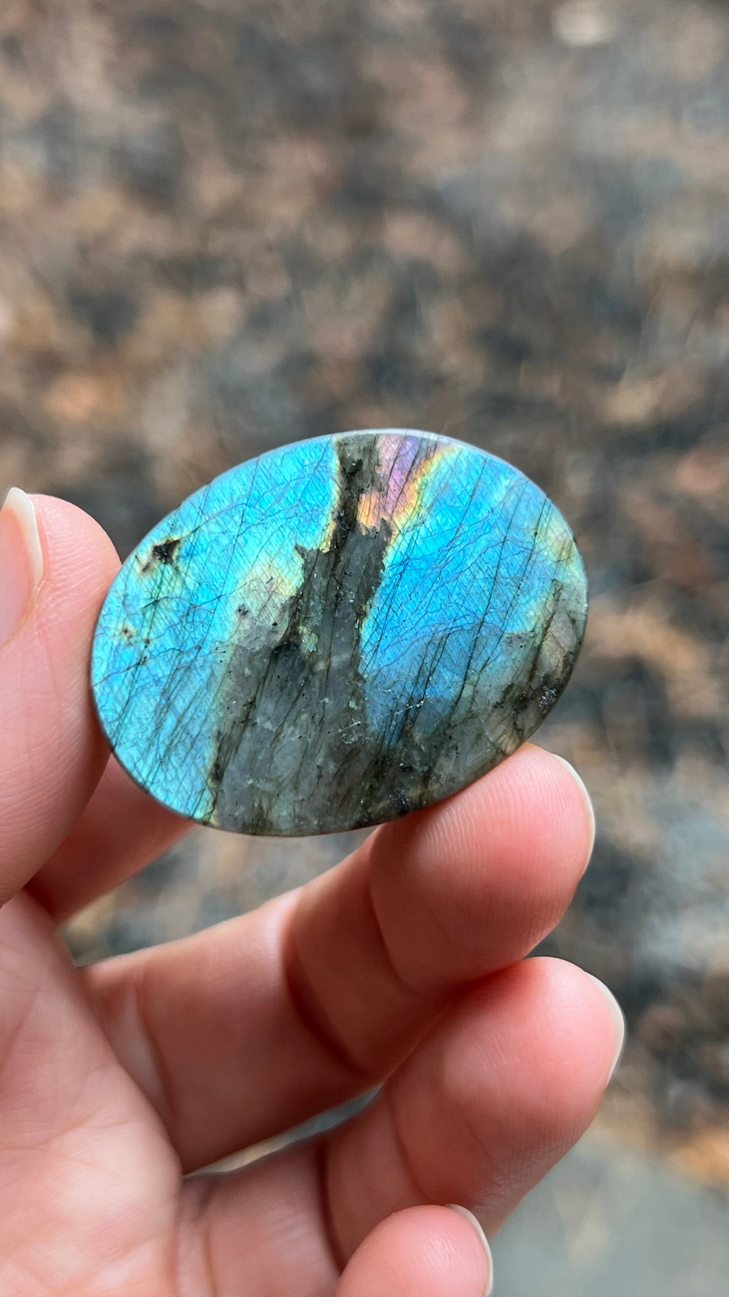 Labradorite Cabochon, 15g