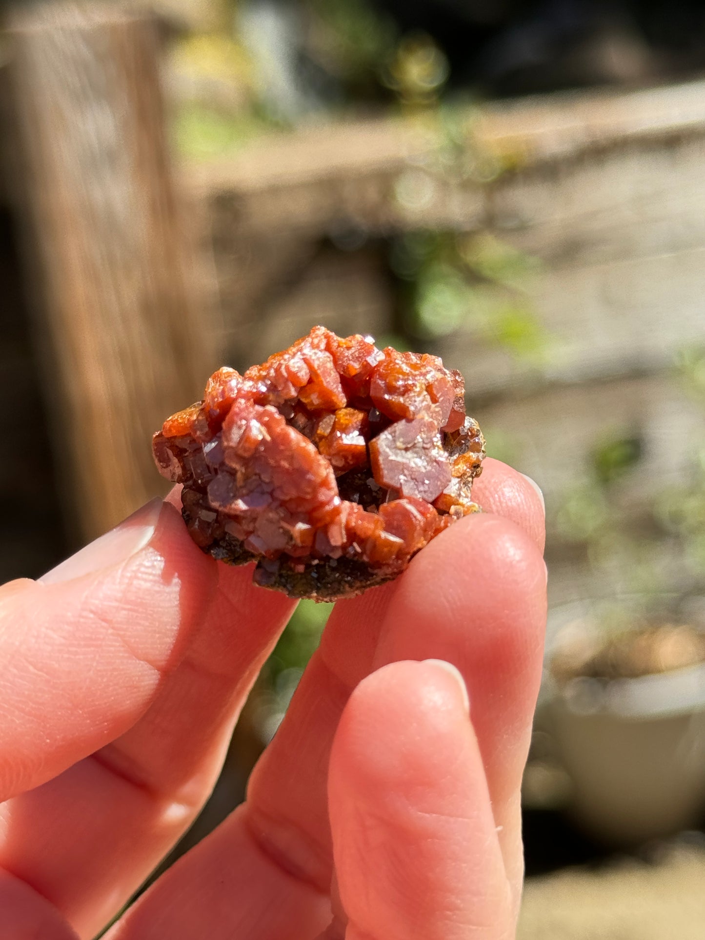 Vanadinite Crystal, 17g Morocco