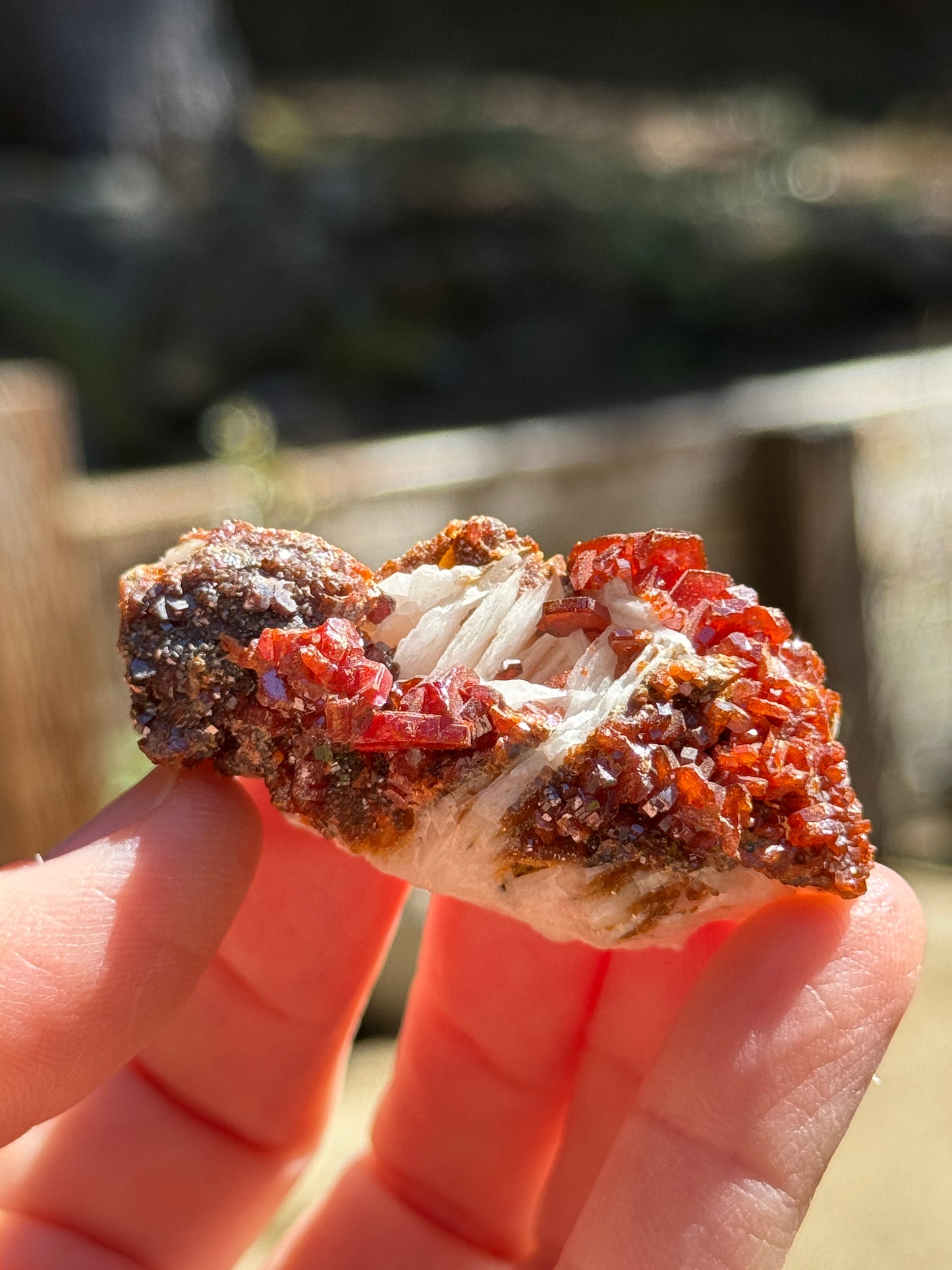 Vanadinite Crystal with Barite, 51g Morocco