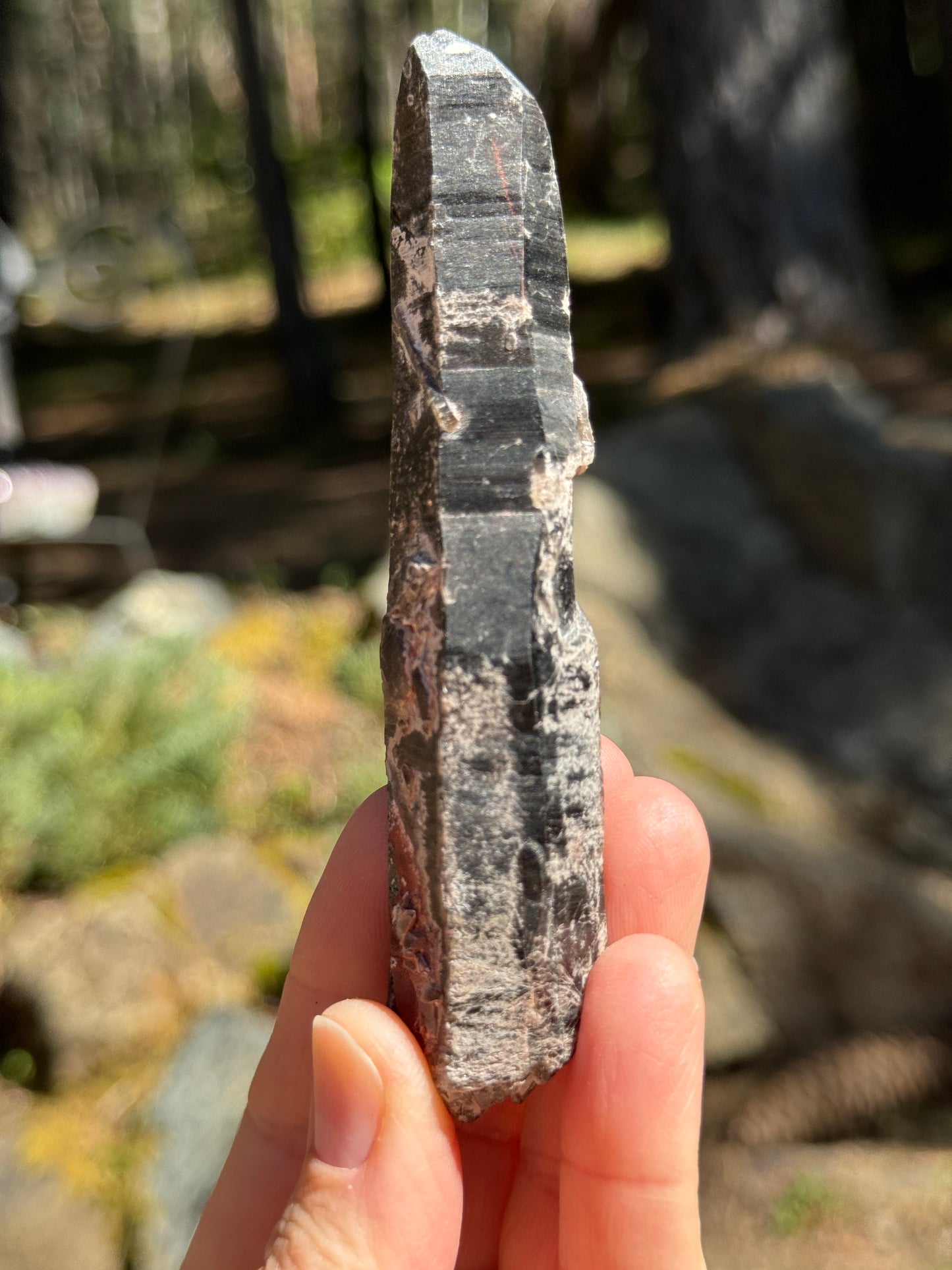 DT Morion Smoky Quartz Lemurian, 82g Mongolia