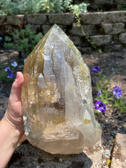 Elestial Citrine Lightbrary