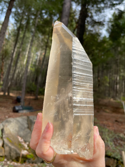 Citrine Phantom Lemurian