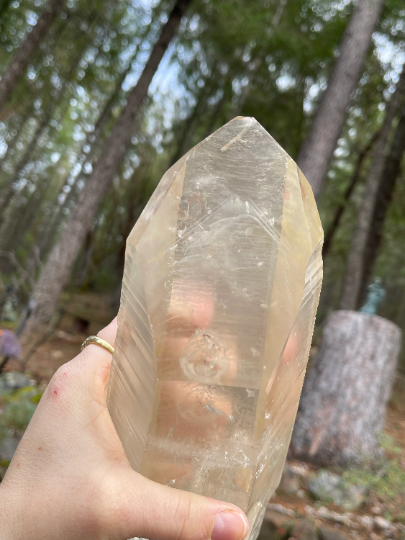 Citrine Phantom Lemurian