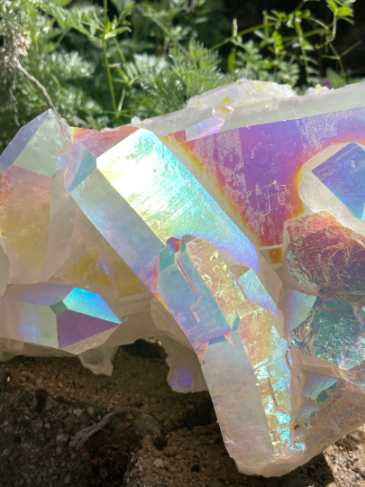 Large Angel Aura Lemurian Quartz