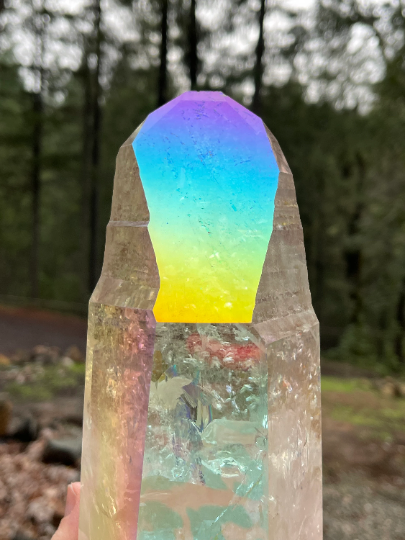 Large Angel Aura Lemurian Quartz