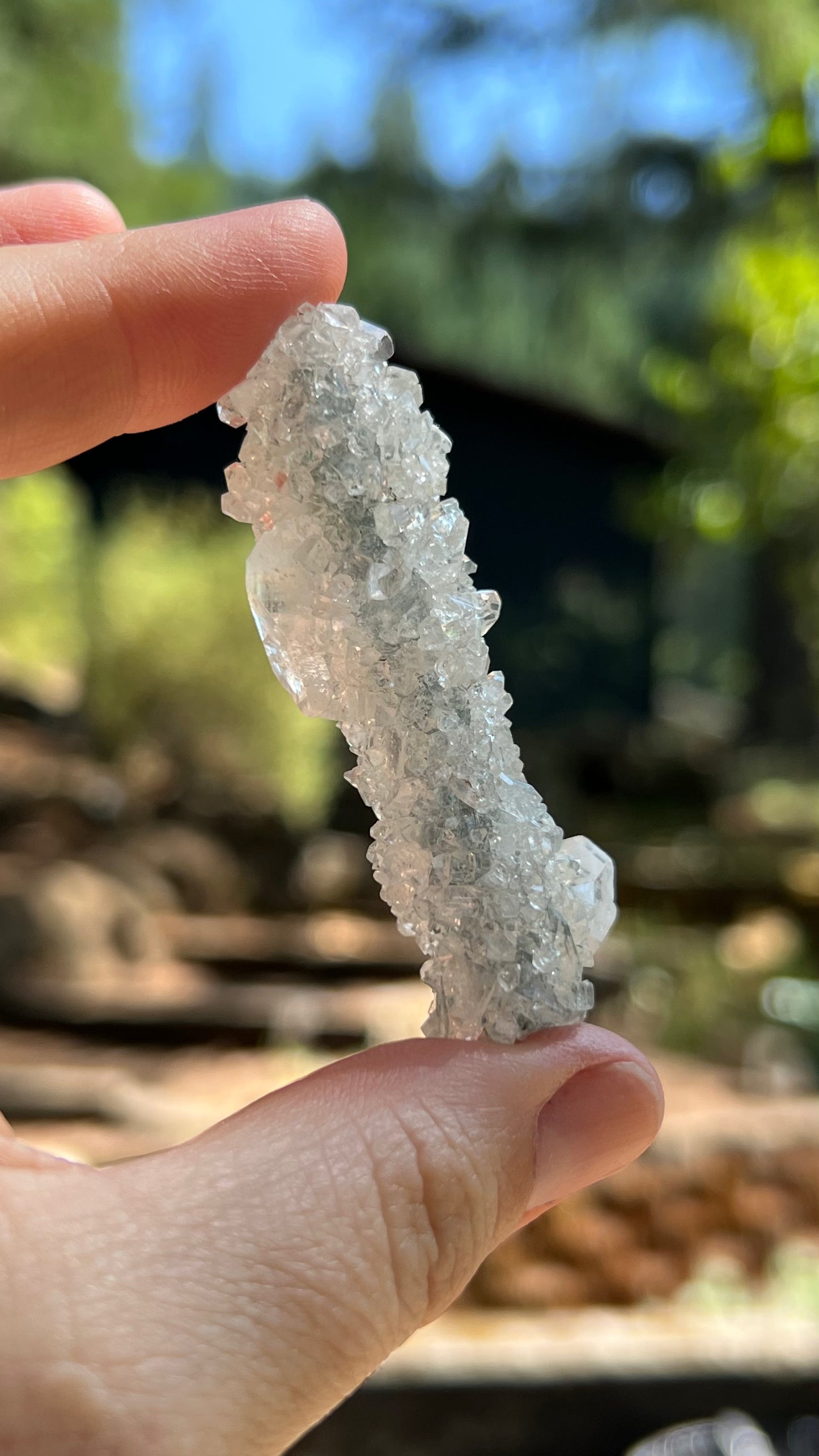Apophyllite Crystals over Stalactite, India