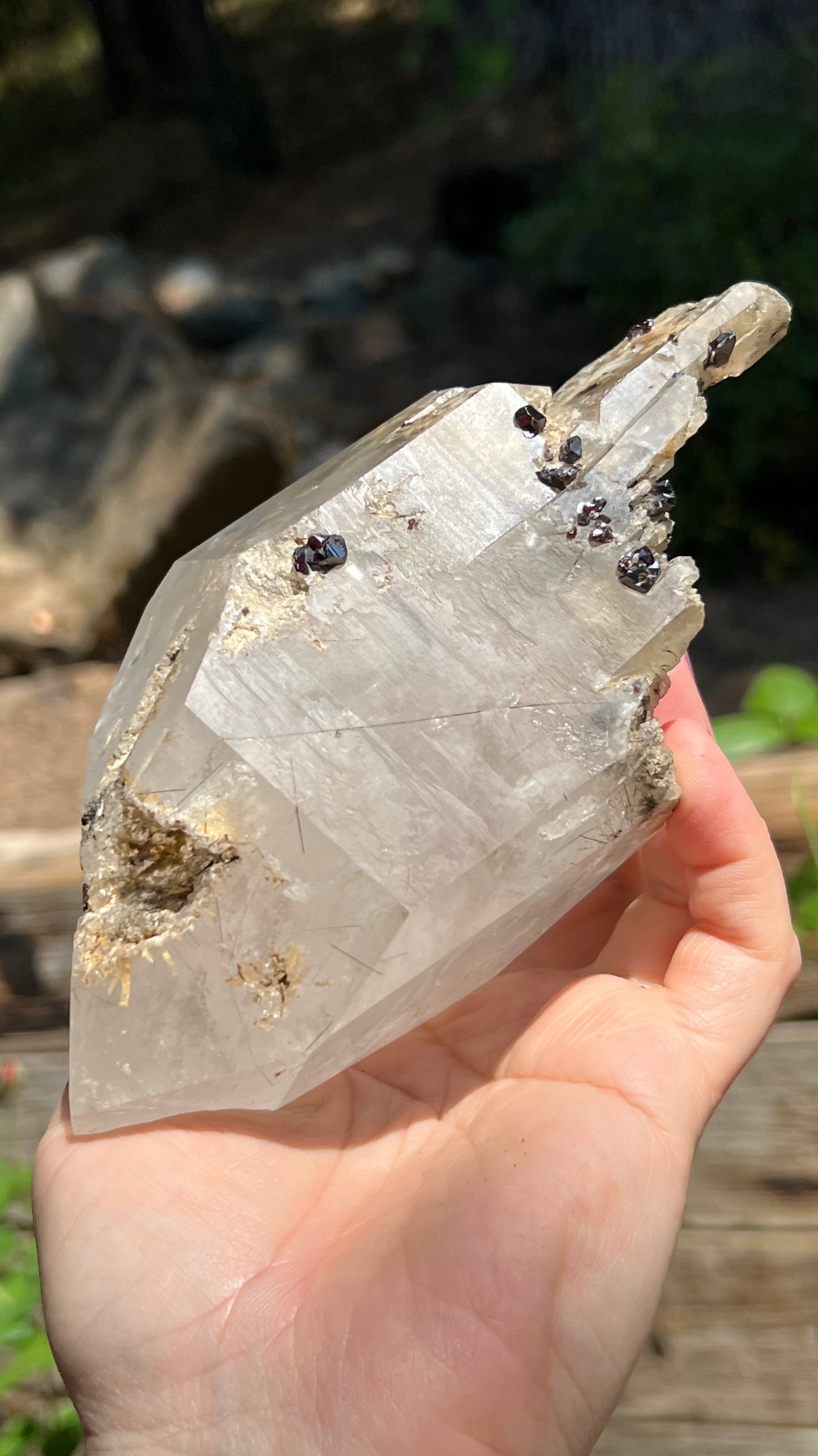 Quartz Scepter with Rutile and Garnets