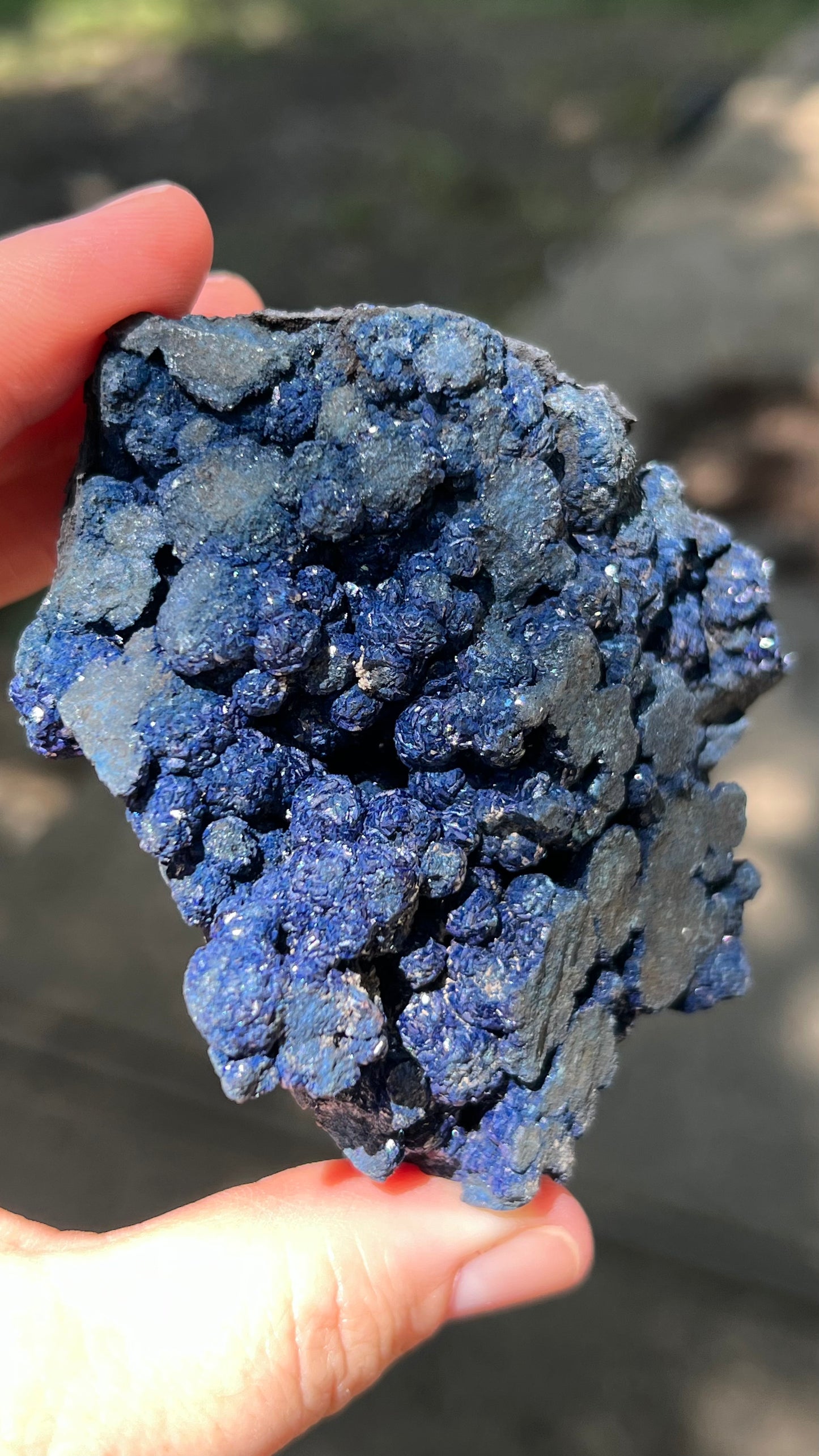 Azurite Rosette Cluster, Morenci Mine Region, Arizona USA