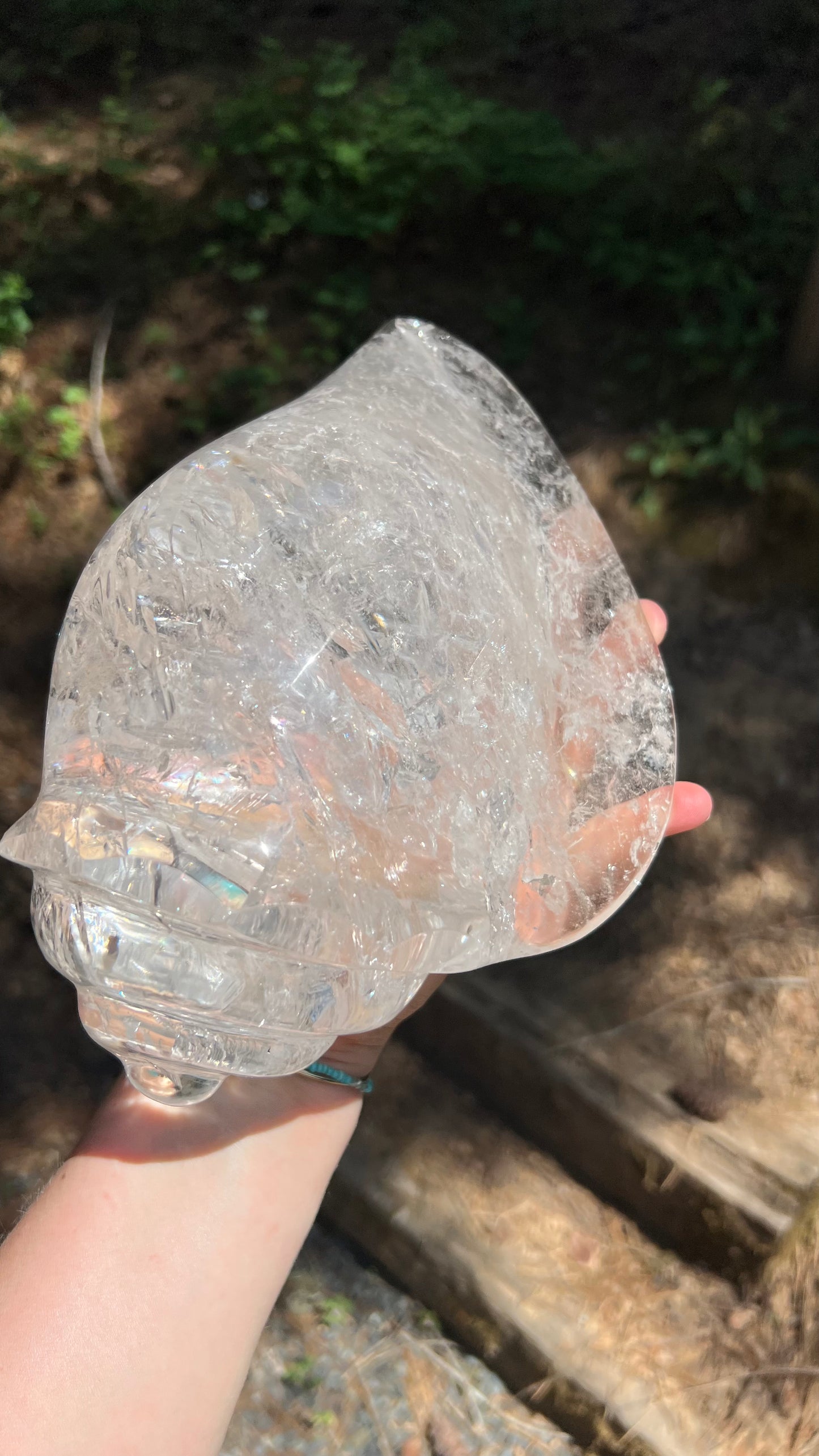 Prismatic Quartz Seashell Carving, 9lbs! Brazil