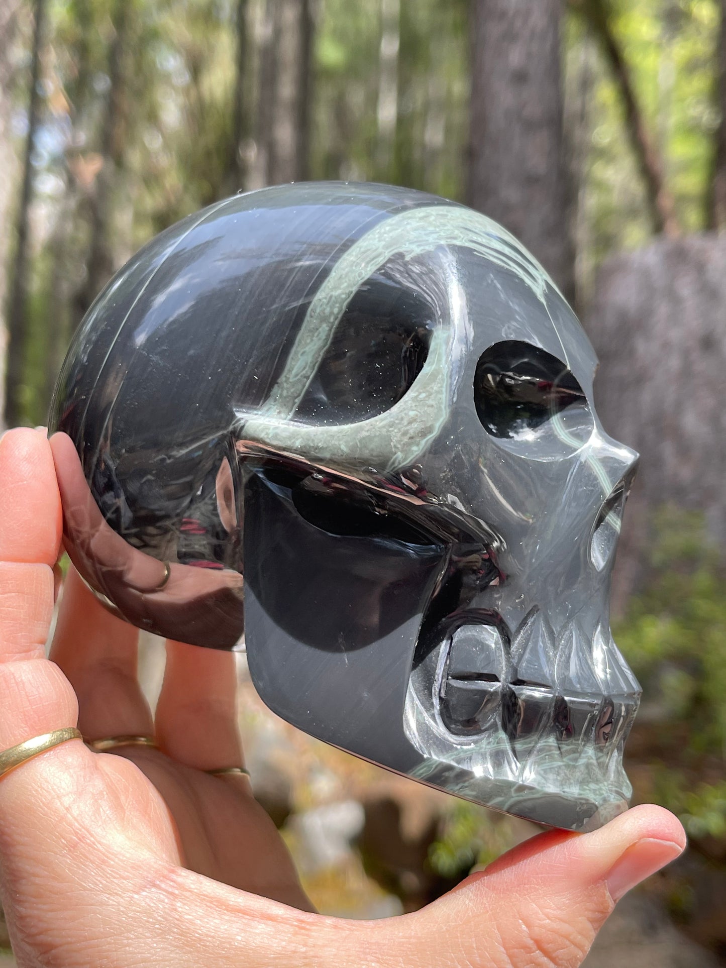 Spider Web Obsidian Skull