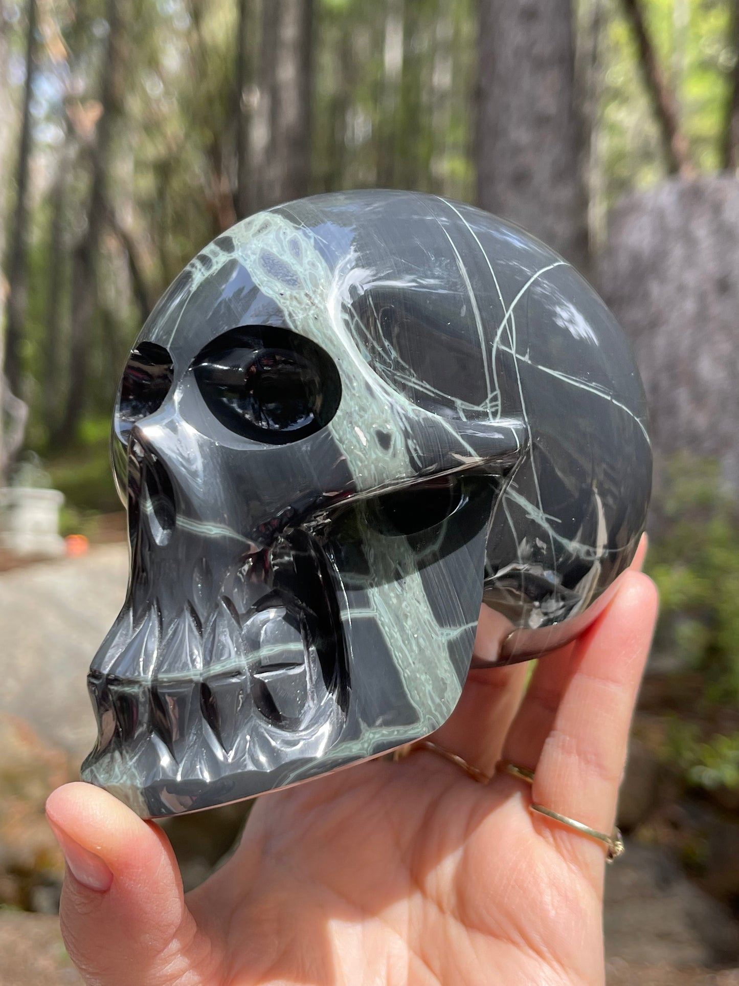 Spider Web Obsidian Skull