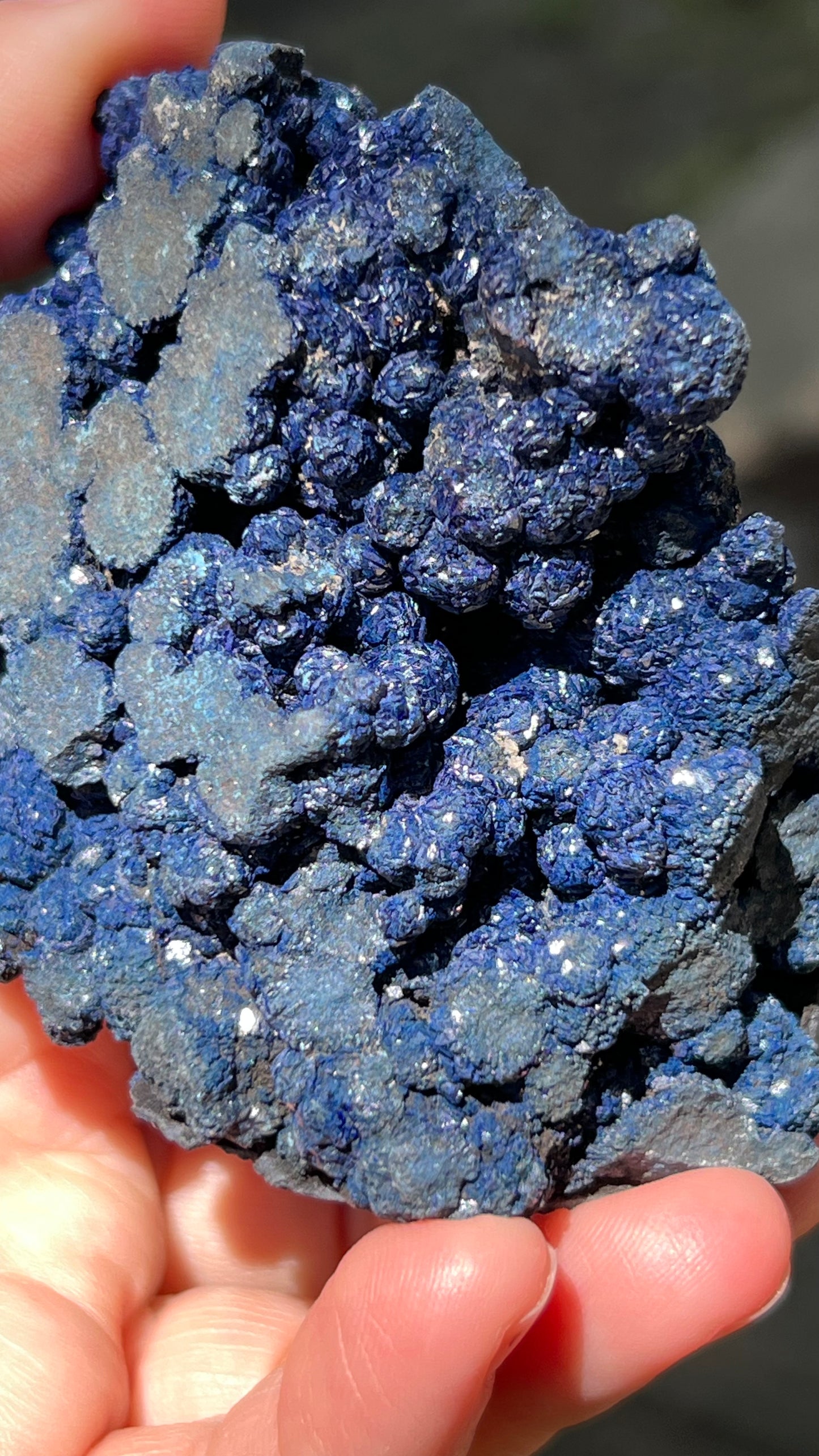 Azurite Rosette Cluster, Morenci Mine Region, Arizona USA