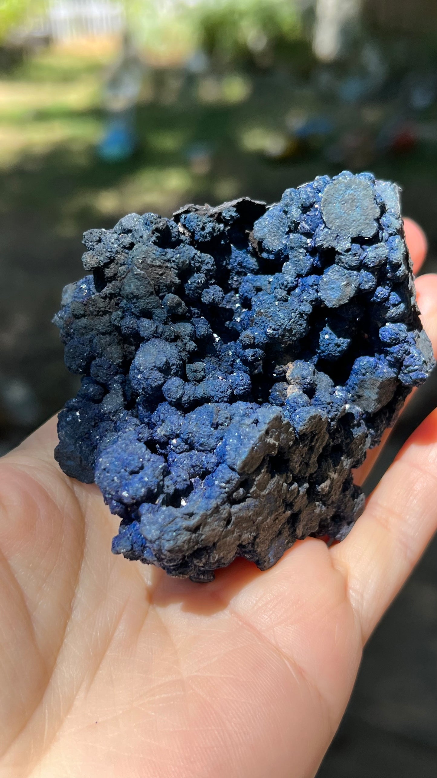 Azurite Rosette Cluster, Morenci Mine Region, Arizona USA