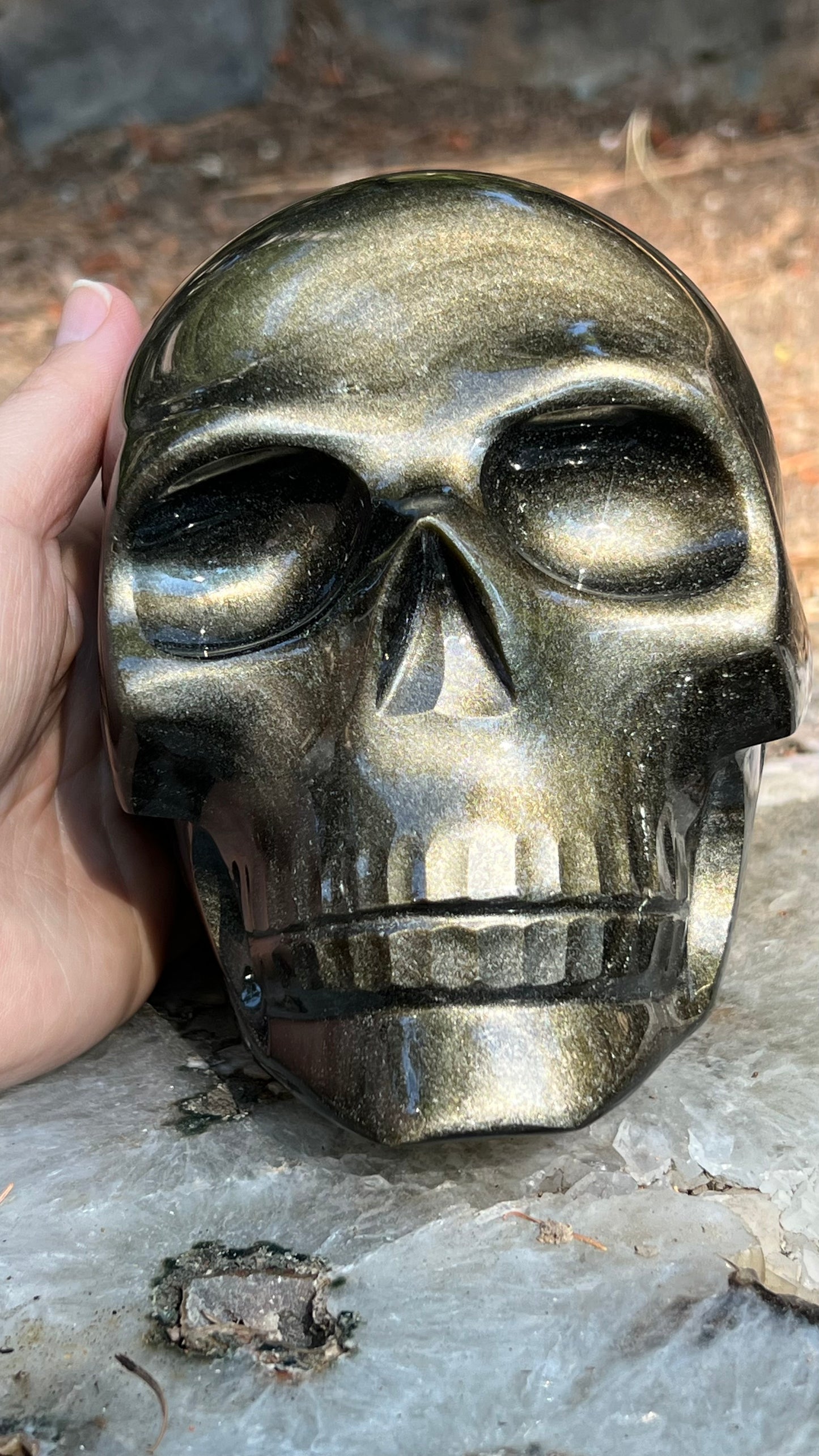 Gold Sheen Black Obsidian Skull