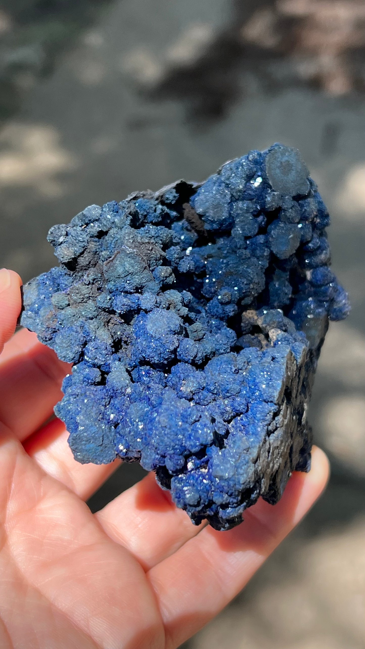 Azurite Rosette Cluster, Morenci Mine Region, Arizona USA