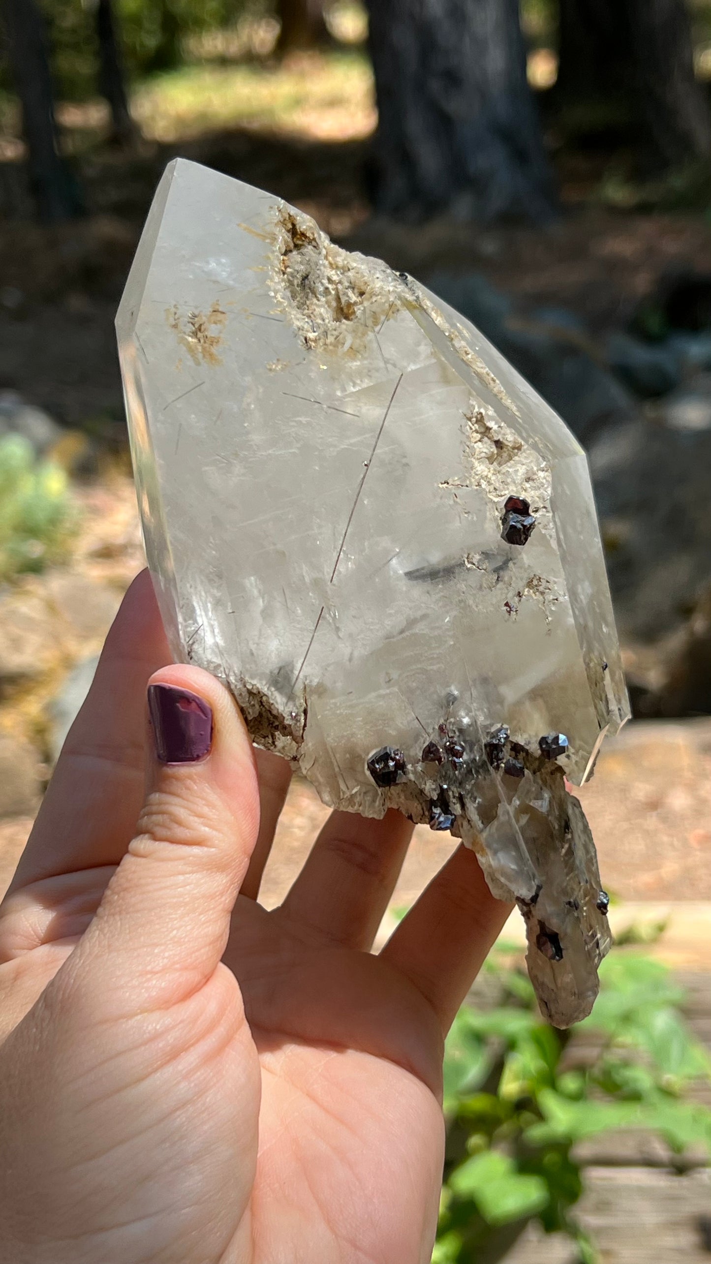Quartz Scepter with Rutile and Garnets