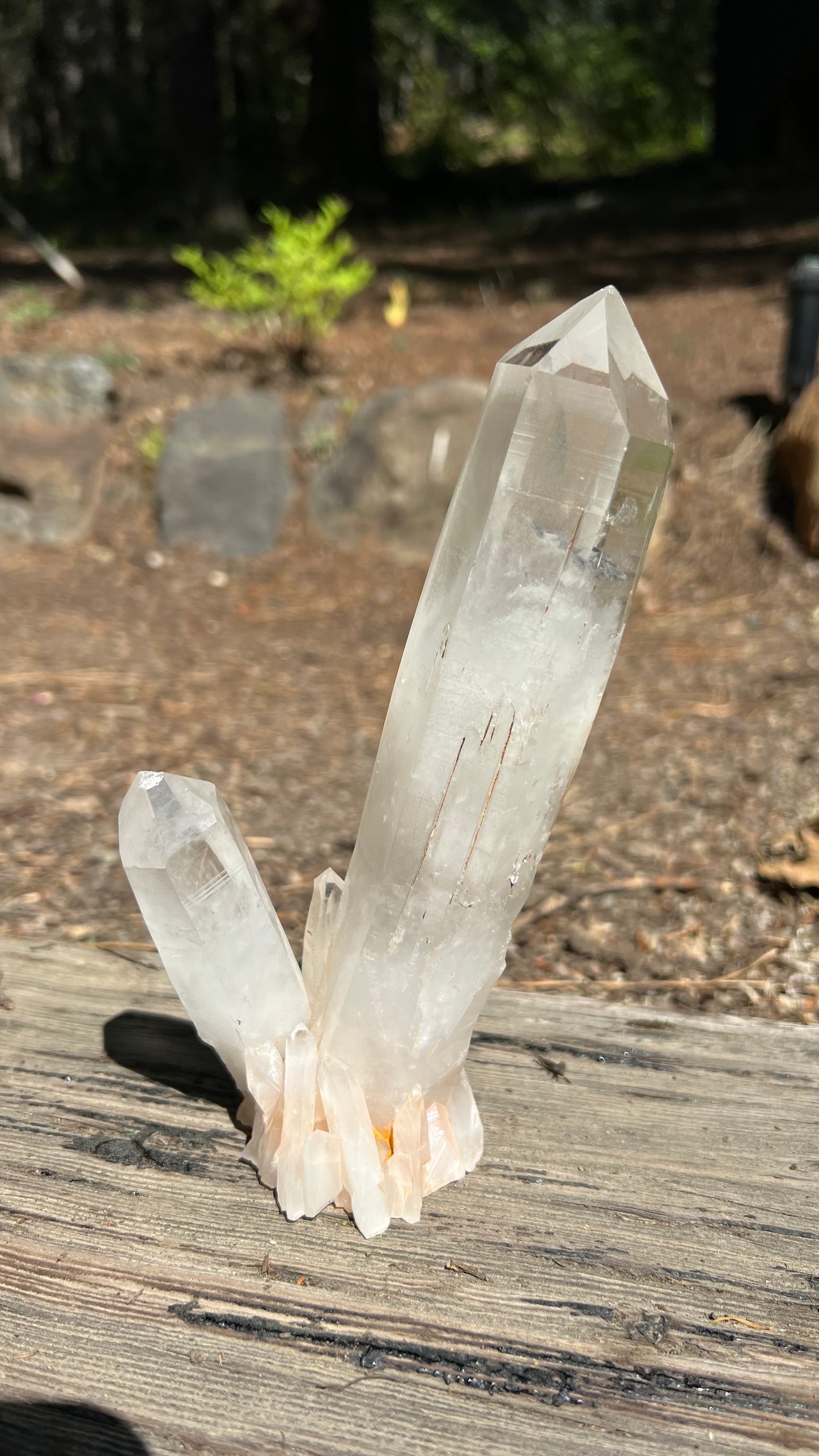Clear Standing Lemurian Quartz, Brazil