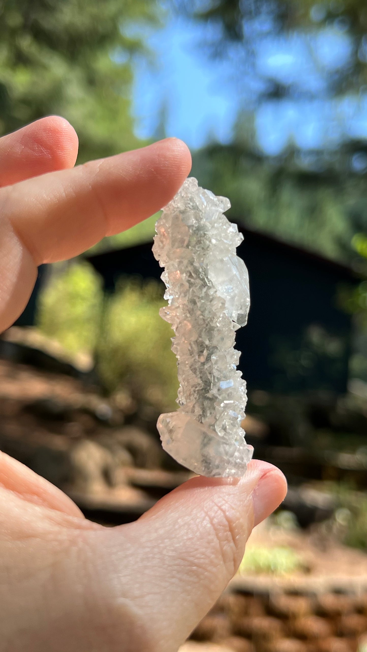 Apophyllite Crystals over Stalactite, India