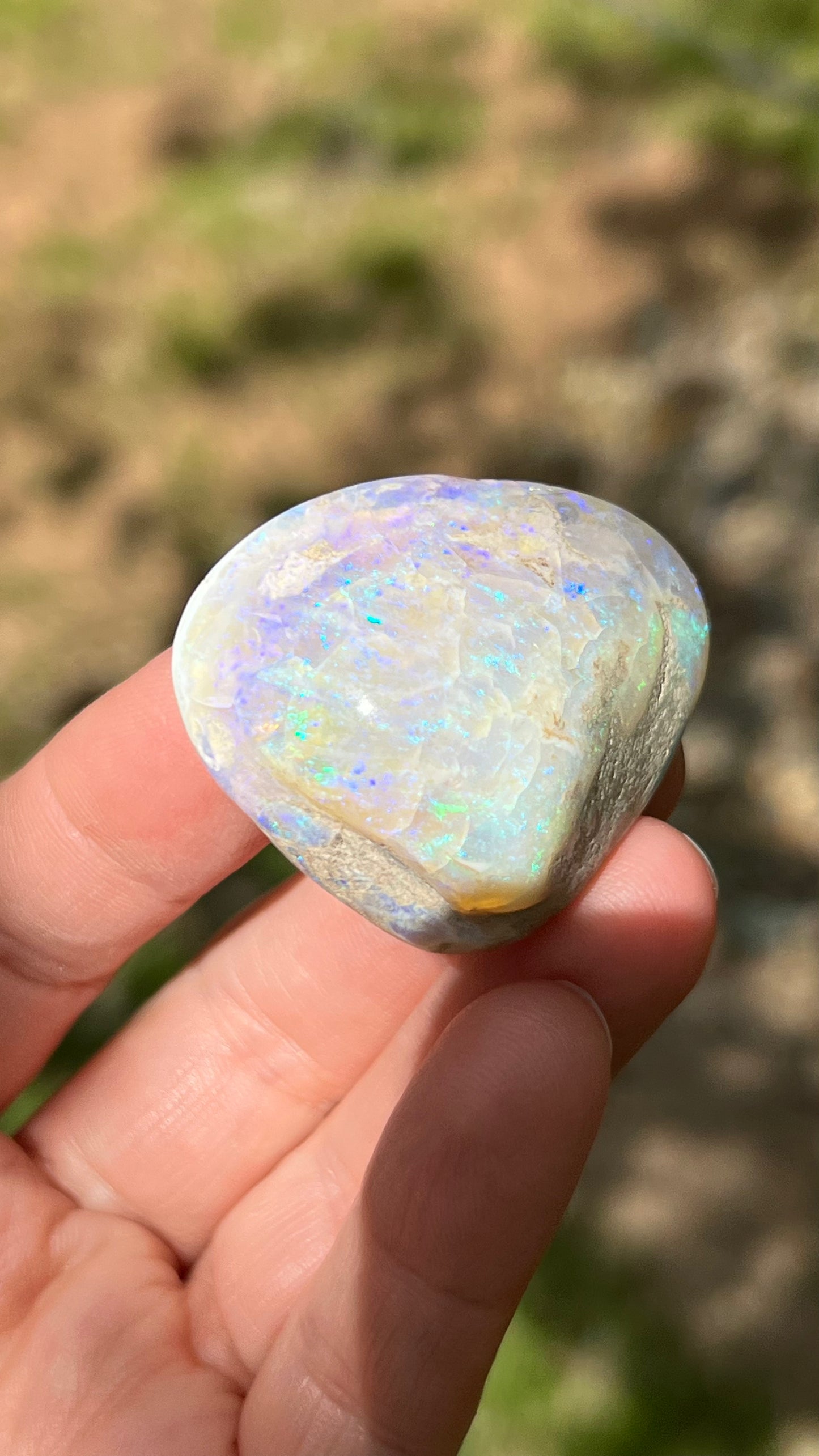 Opalized Clam Shell, 128cts Coober Pedy Australia, Iridescent Fossils