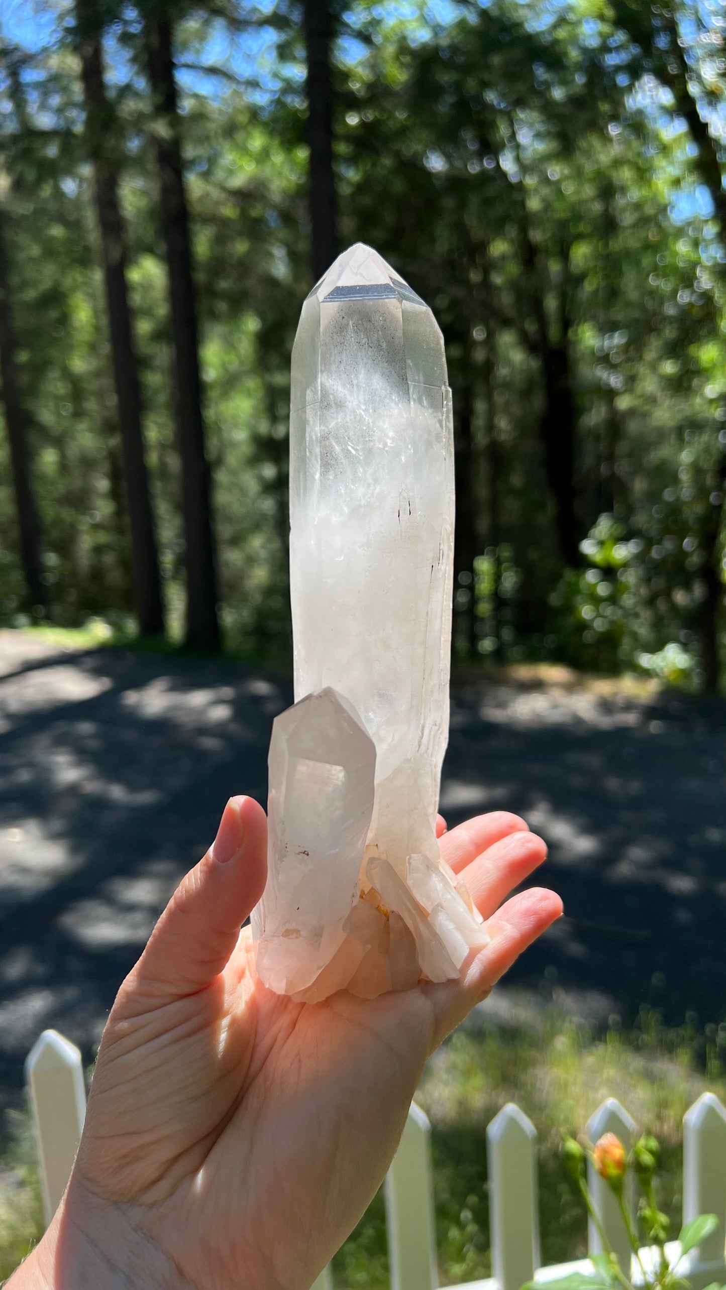 Clear Standing Lemurian Quartz, Brazil