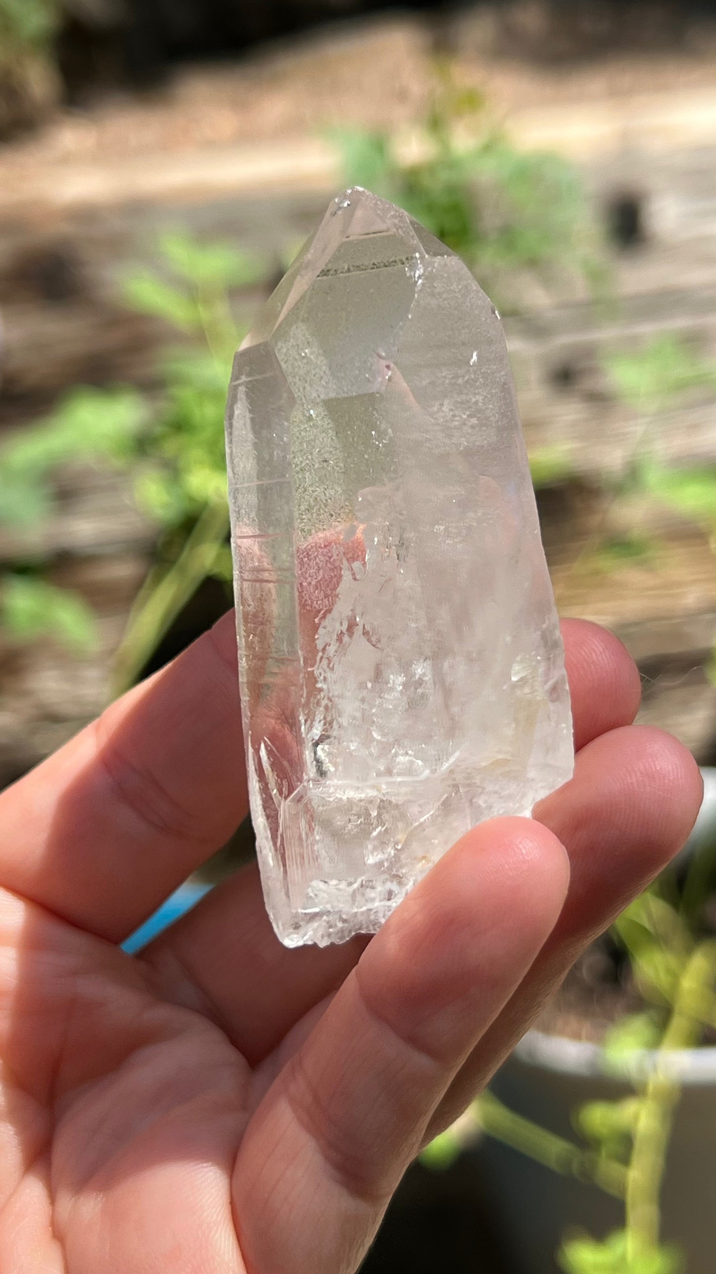 Recordkeeper Lemurian 7-3-7 Quartz, Colombia