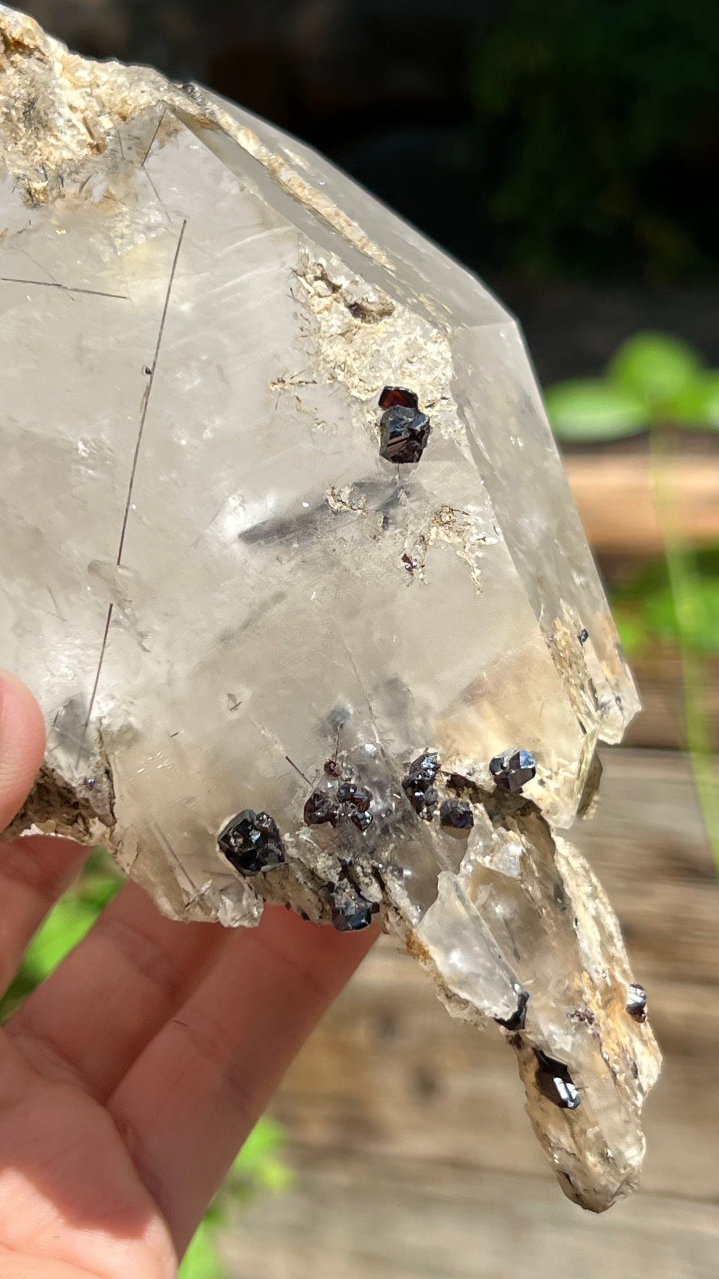 Quartz Scepter with Rutile and Garnets