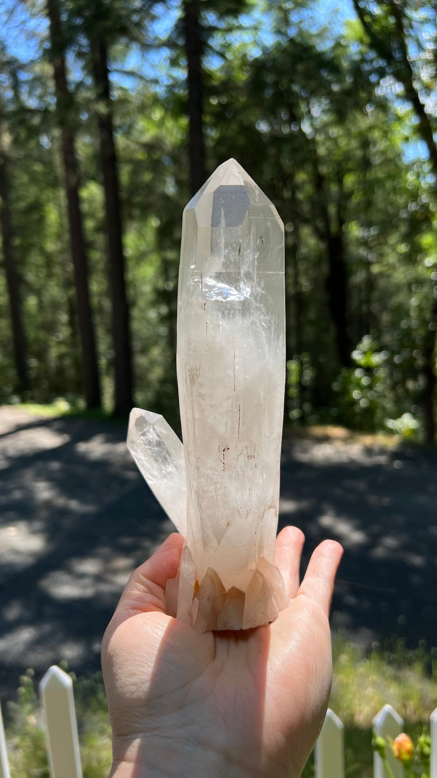 Clear Standing Lemurian Quartz, Brazil