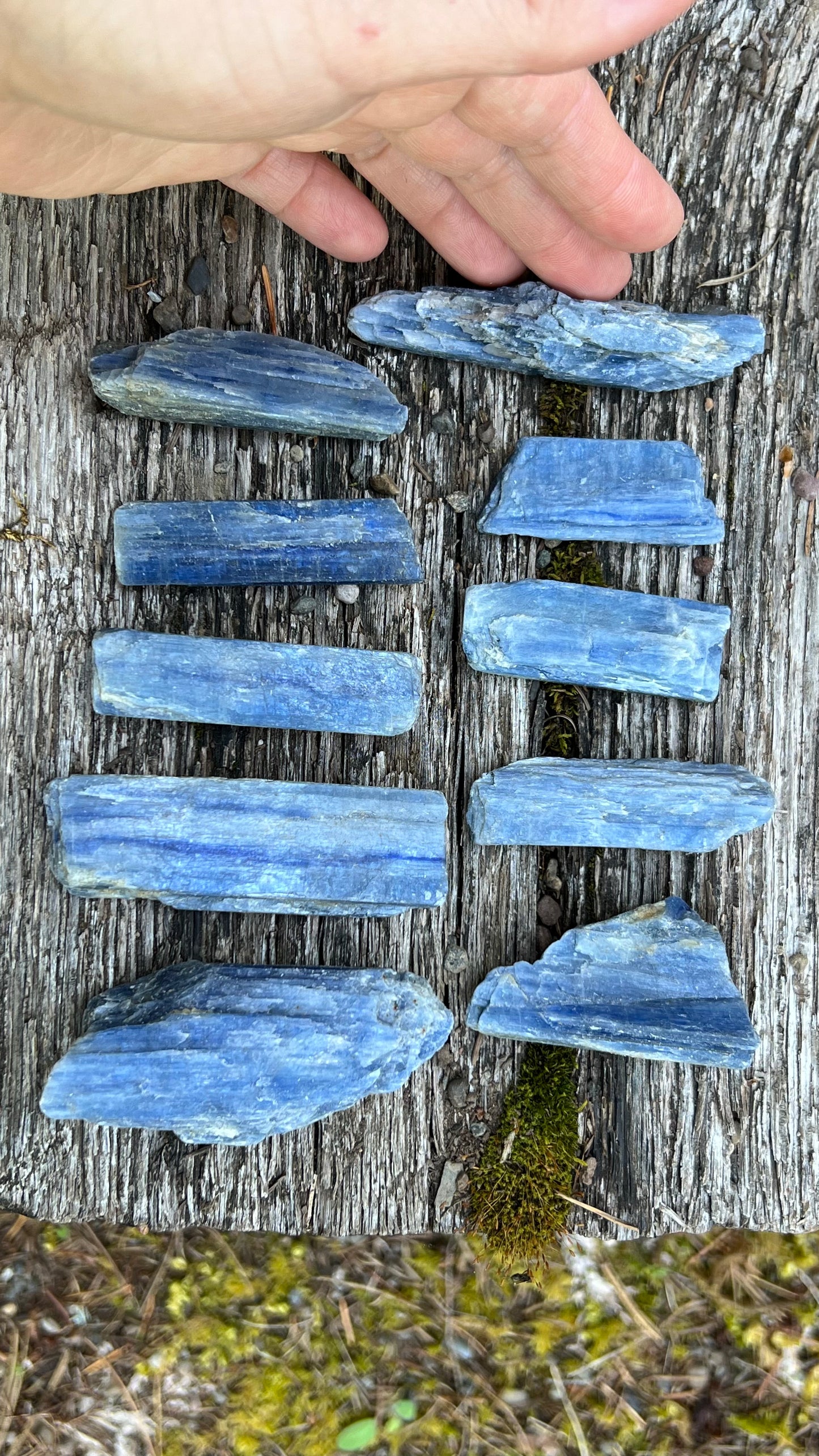 One Kyanite, Raw Natural Blade